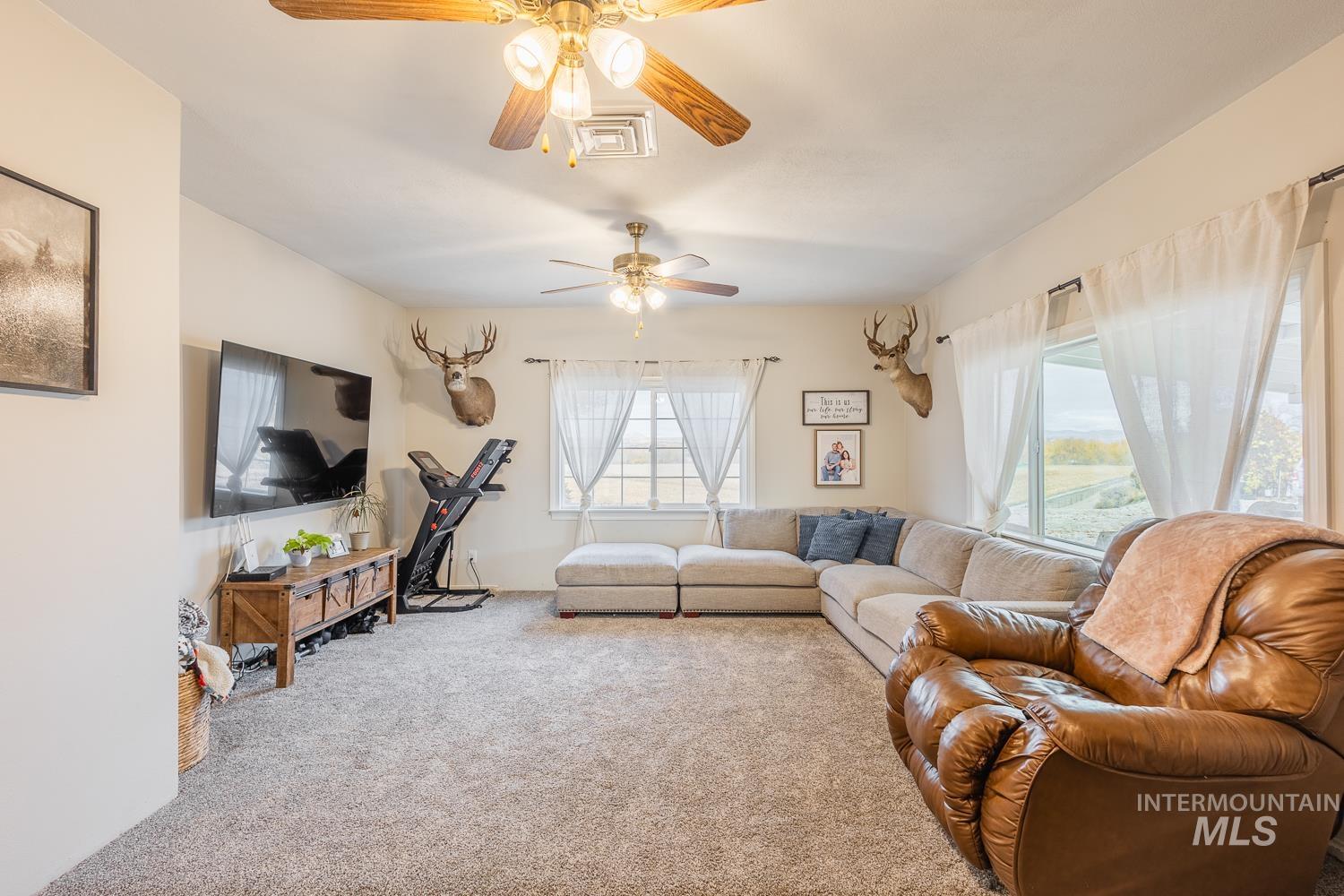 Living area featuring carpet flooring and a ceiling fan