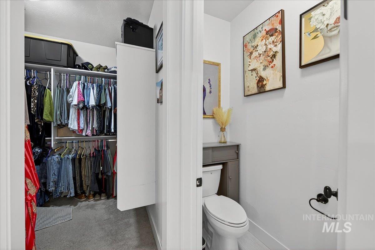 Bathroom with a walk in closet and carpet
