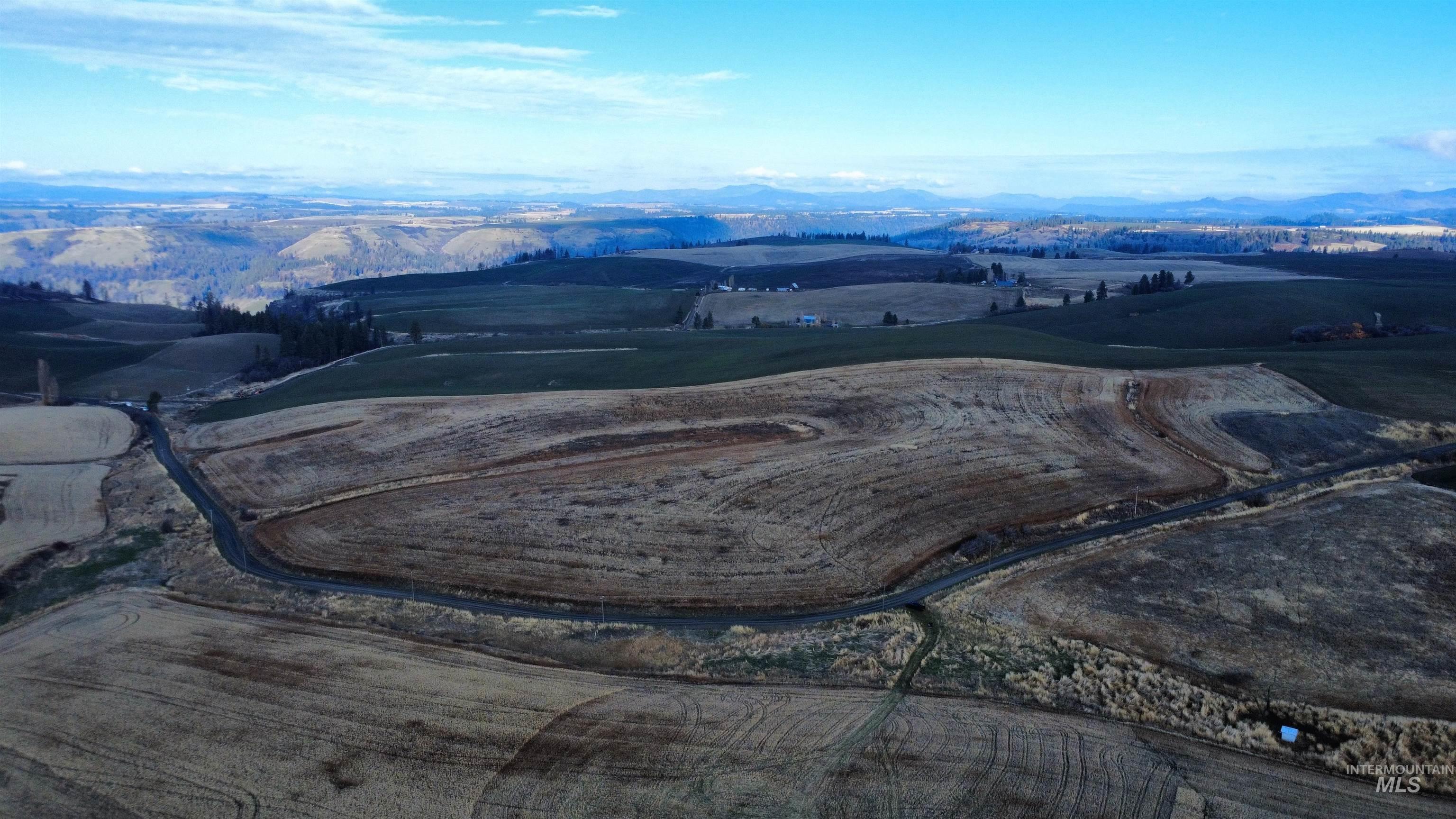 Aerial view of sparsely populated area with a mountain backdrop