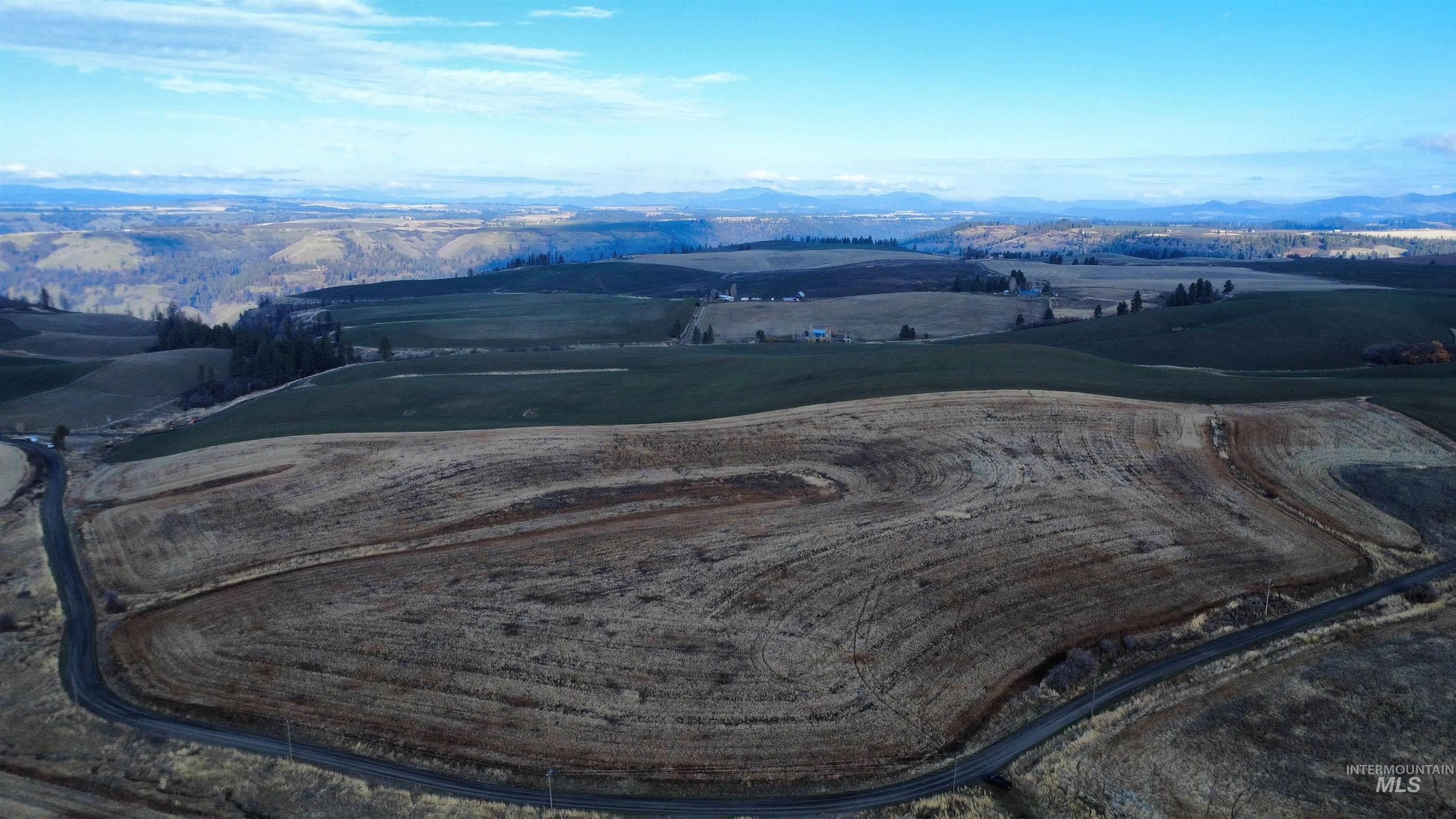 Aerial view of sparsely populated area featuring a mountainous background