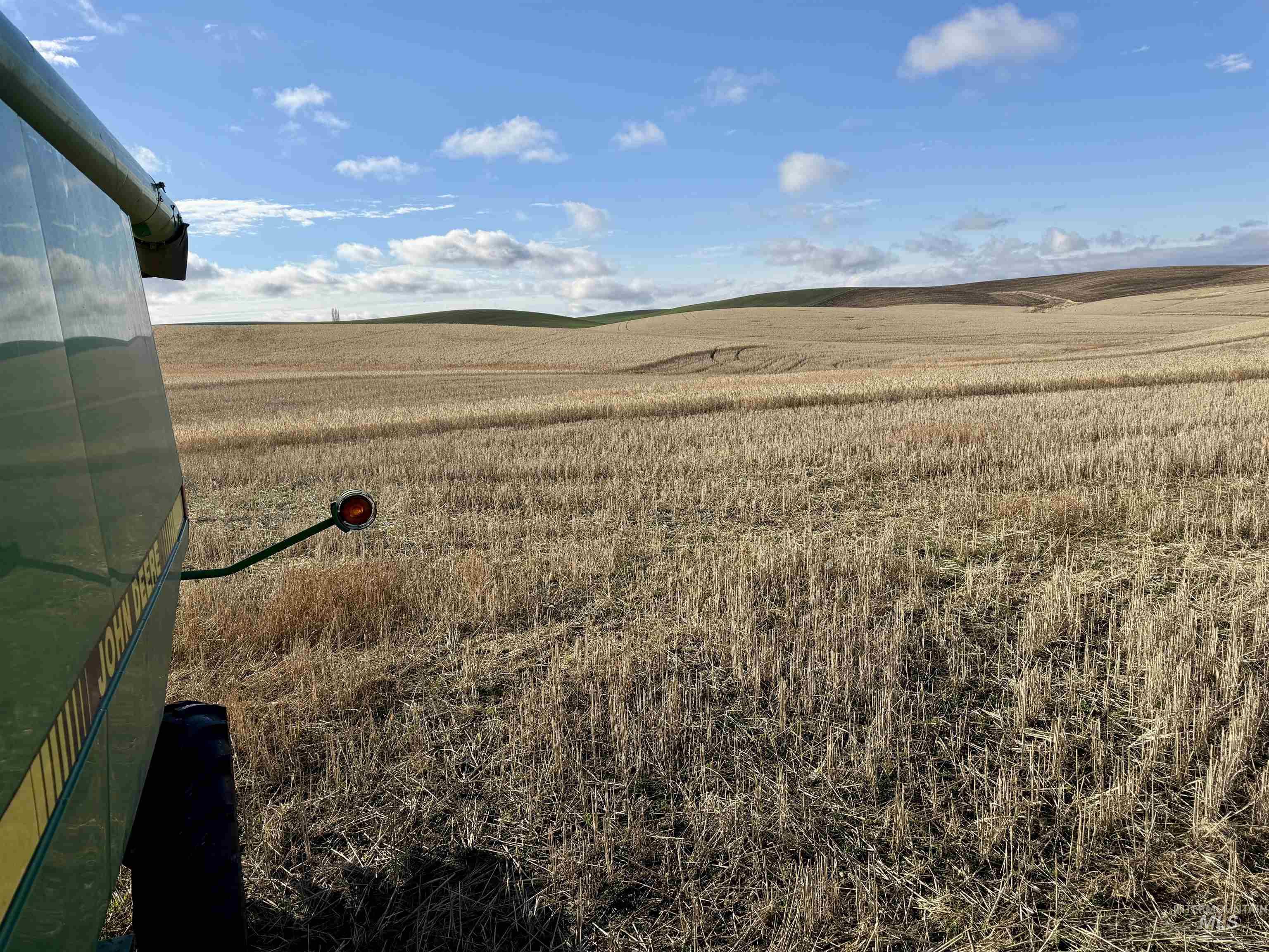 View of yard featuring a view of rural / pastoral area