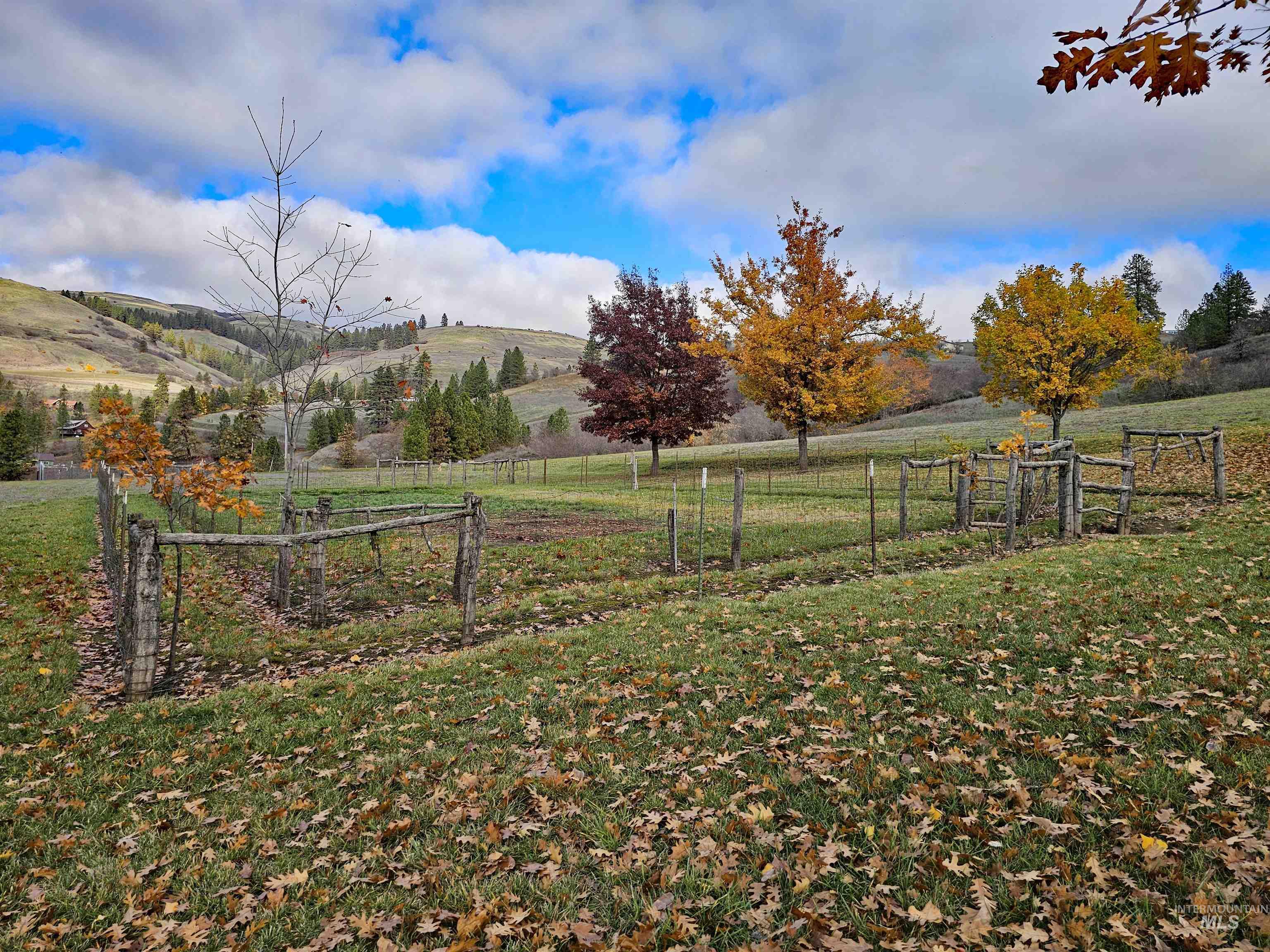 20044 Orchard Lane, Lenore, Idaho 83541, 2 Bedrooms, 2 Bathrooms, Residential For Sale, Price $850,000, 98968090