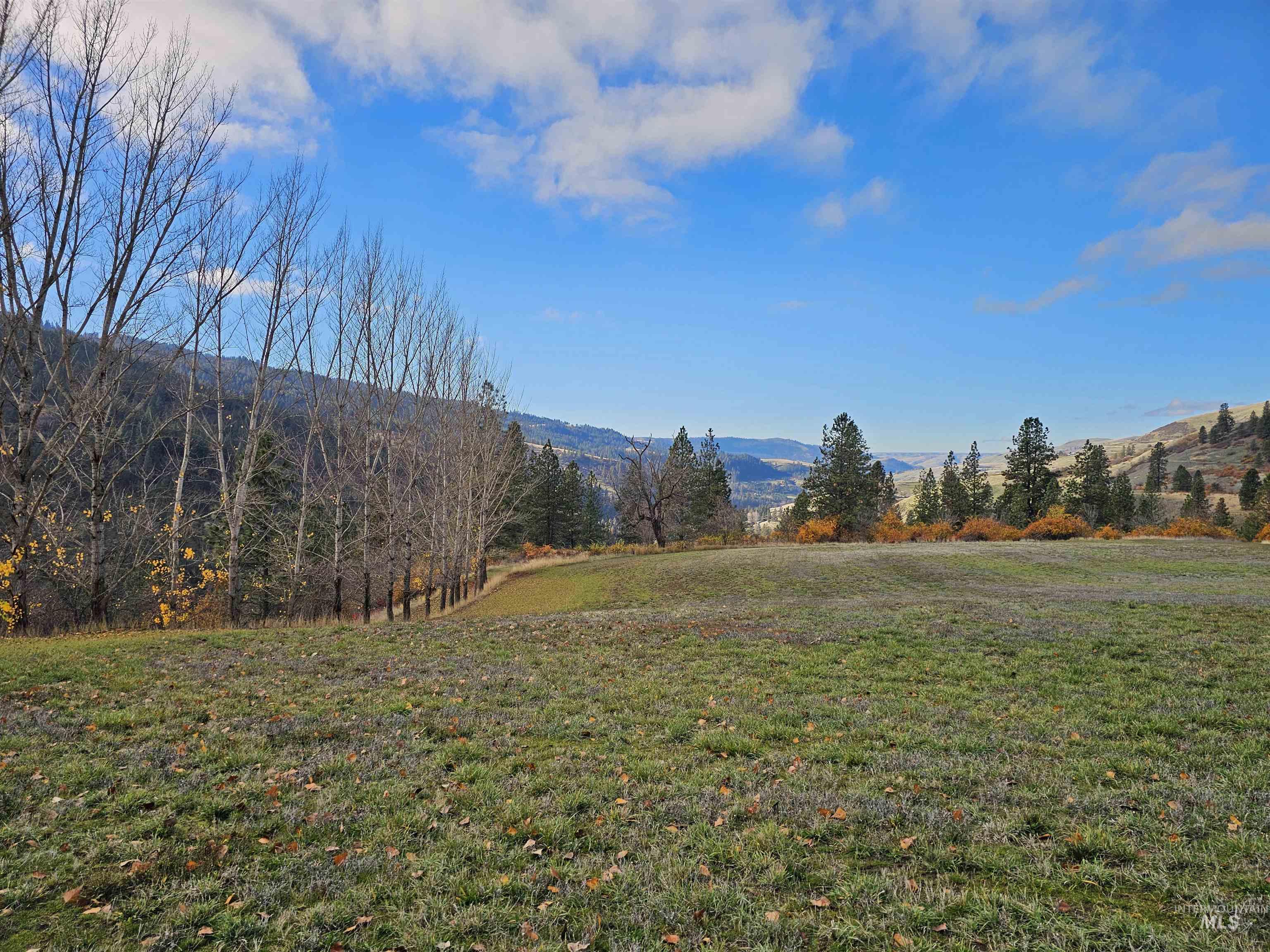 20044 Orchard Lane, Lenore, Idaho 83541, 2 Bedrooms, 2 Bathrooms, Residential For Sale, Price $850,000, 98968090