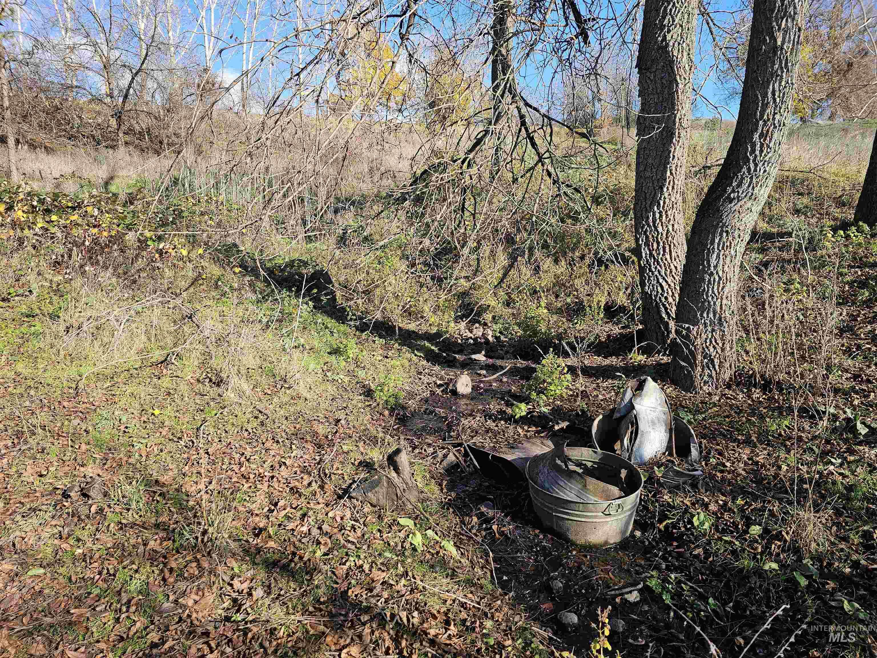 20044 Orchard Lane, Lenore, Idaho 83541, 2 Bedrooms, 2 Bathrooms, Residential For Sale, Price $850,000, 98968090