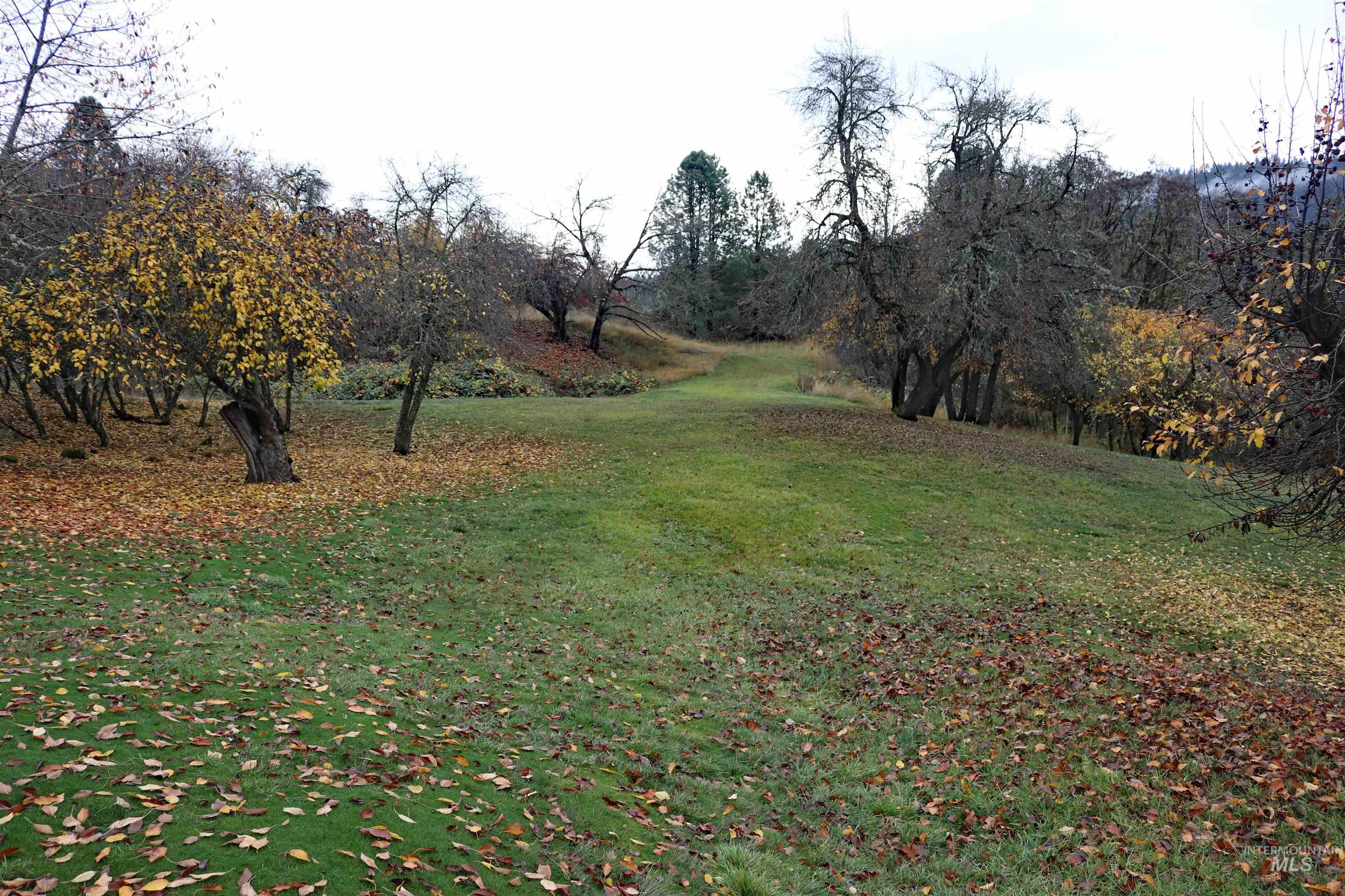 20044 Orchard Lane, Lenore, Idaho 83541, 2 Bedrooms, 2 Bathrooms, Residential For Sale, Price $850,000, 98968090