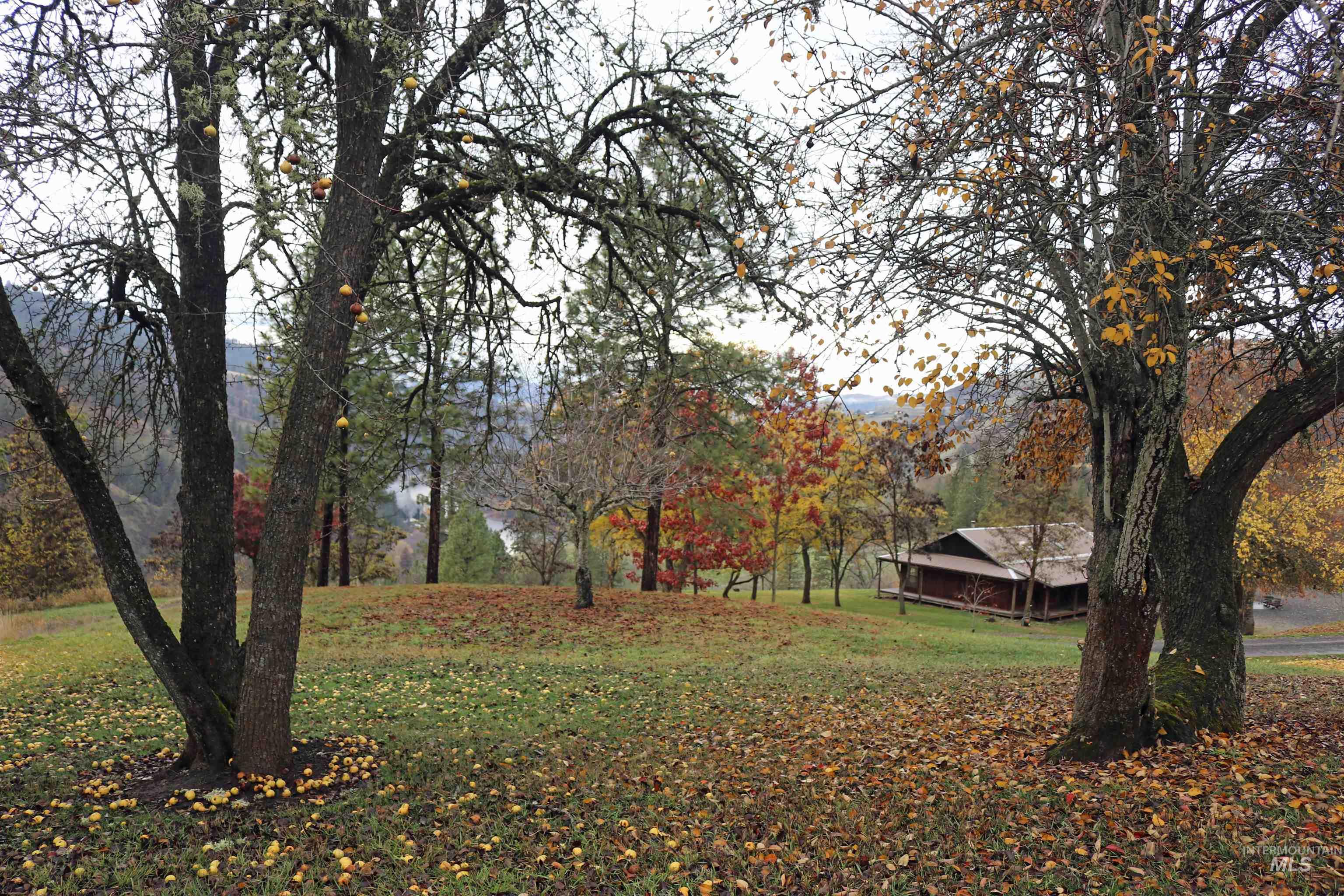 20044 Orchard Lane, Lenore, Idaho 83541, 2 Bedrooms, 2 Bathrooms, Residential For Sale, Price $850,000, 98968090