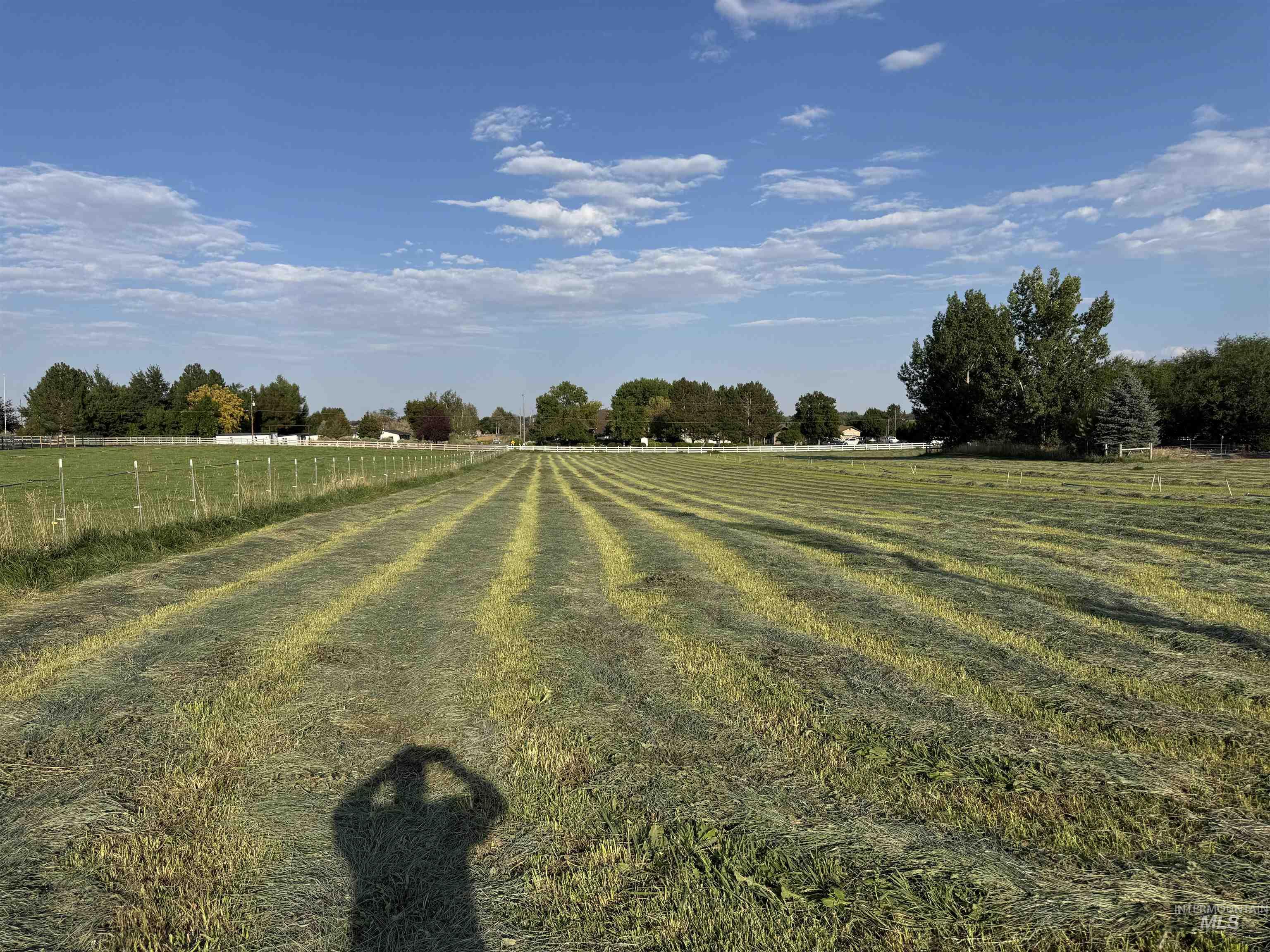 View of yard with a view of rural / pastoral area