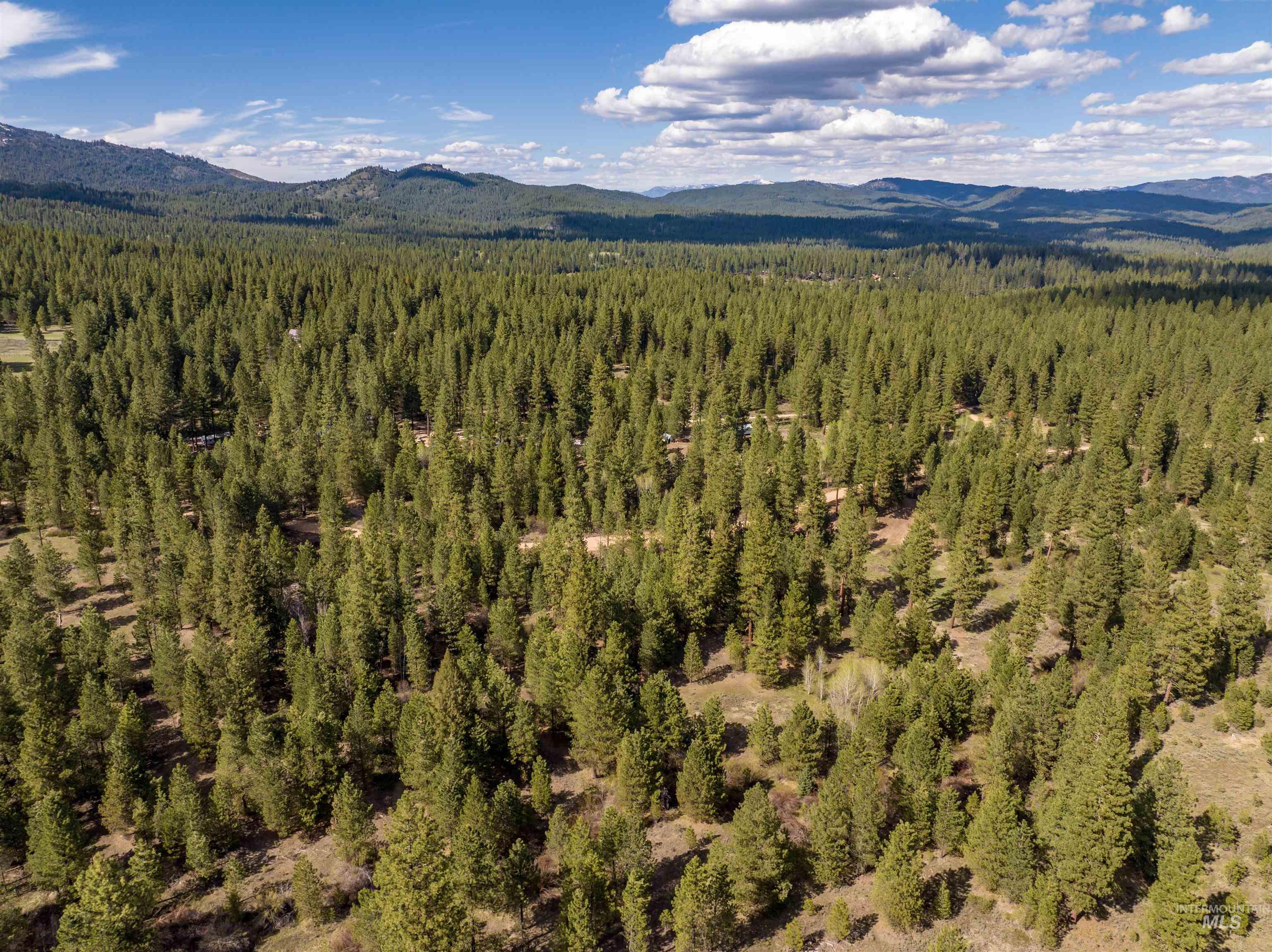 View of mountain backdrop with a heavily wooded area