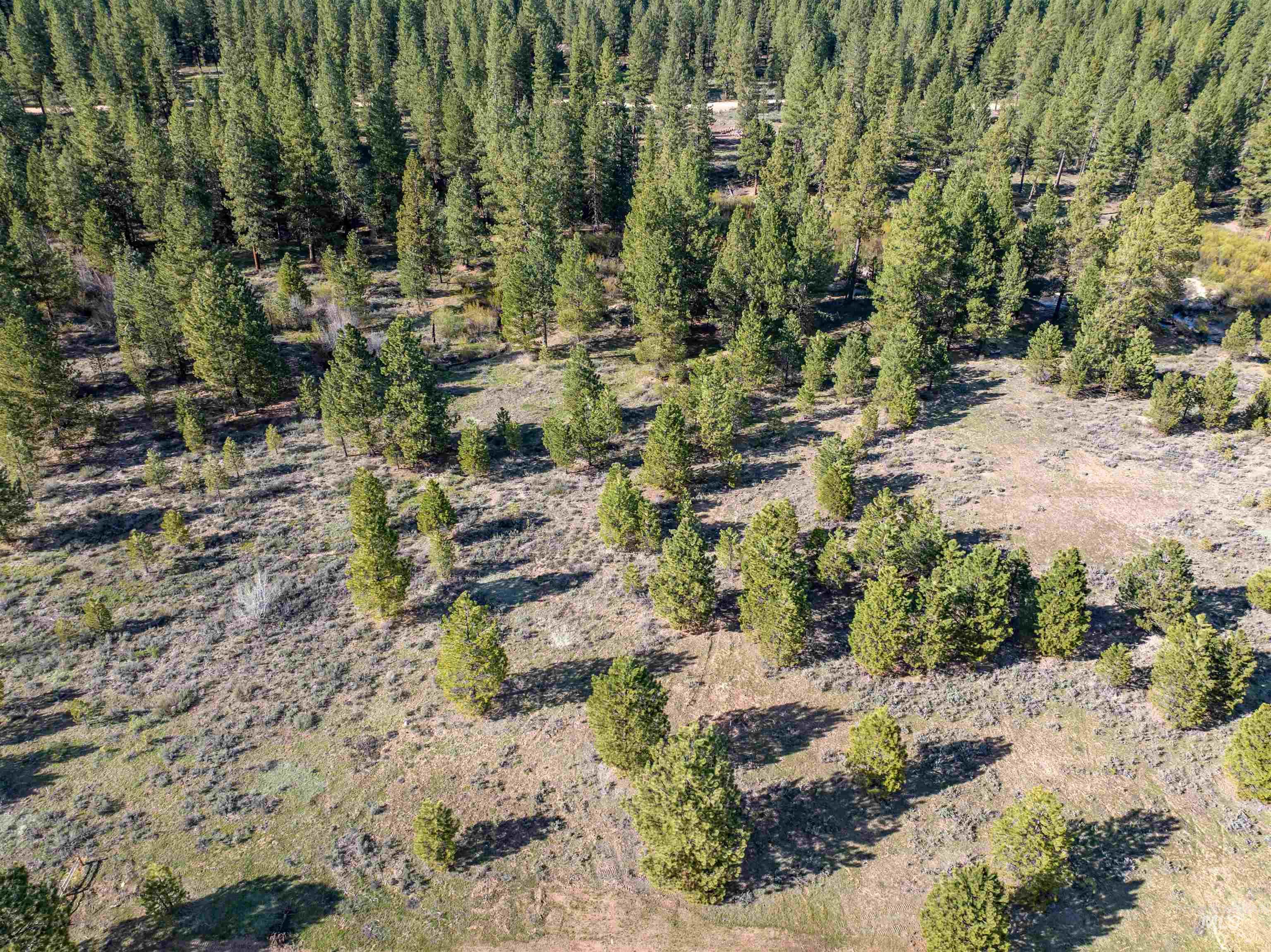Lot 27 Trail Creek Ct, Placerville, Idaho 83666, Land For Sale, Price $175,000, 98968101