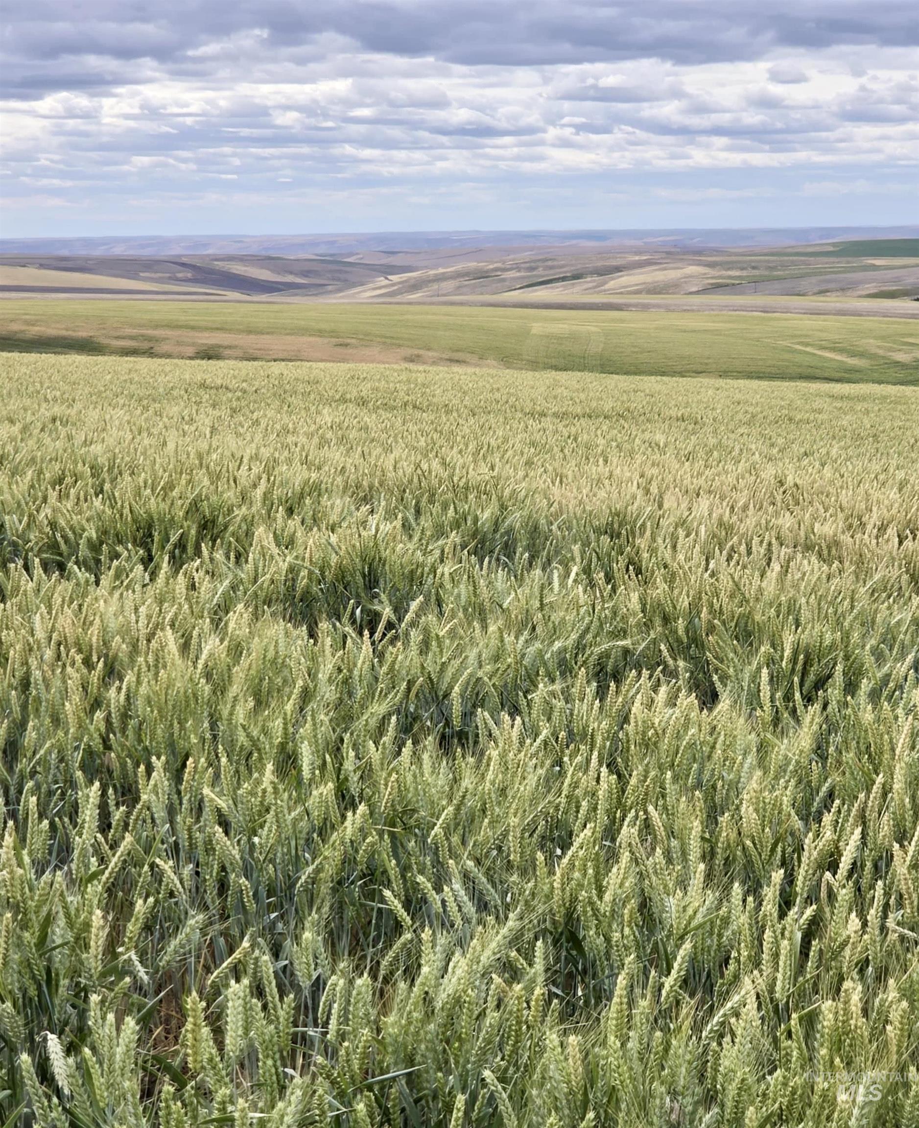 Mountain view with rural landscape and extensive farmland