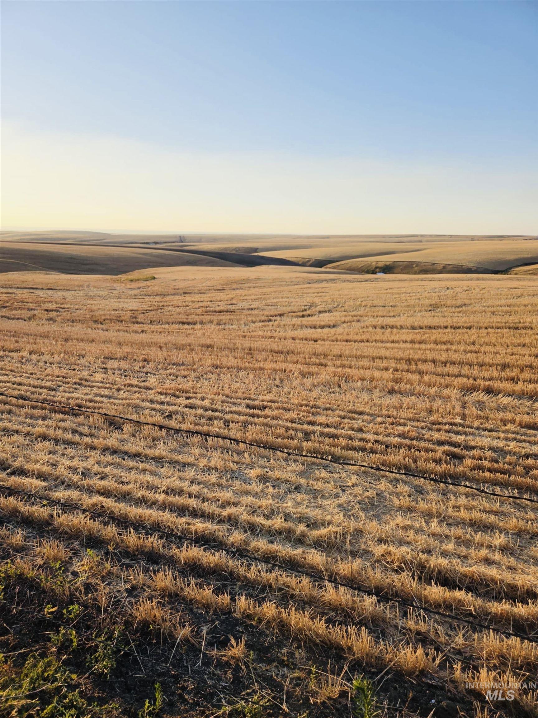 Aerial view of sparsely populated area featuring abundant farmland