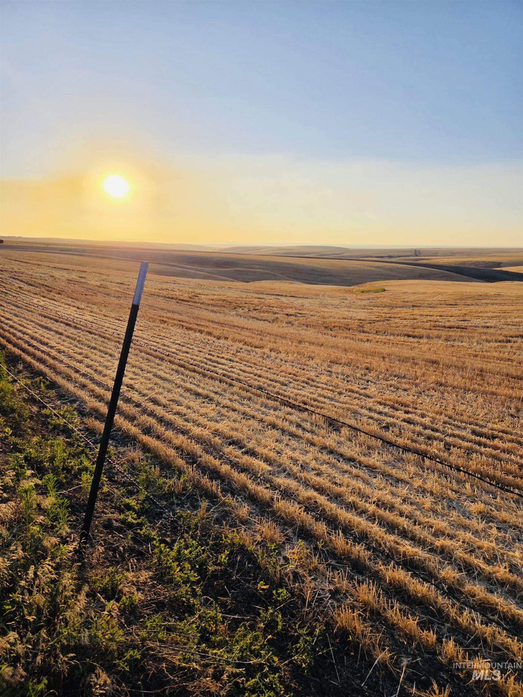 Water view featuring rural landscape and rows of crops