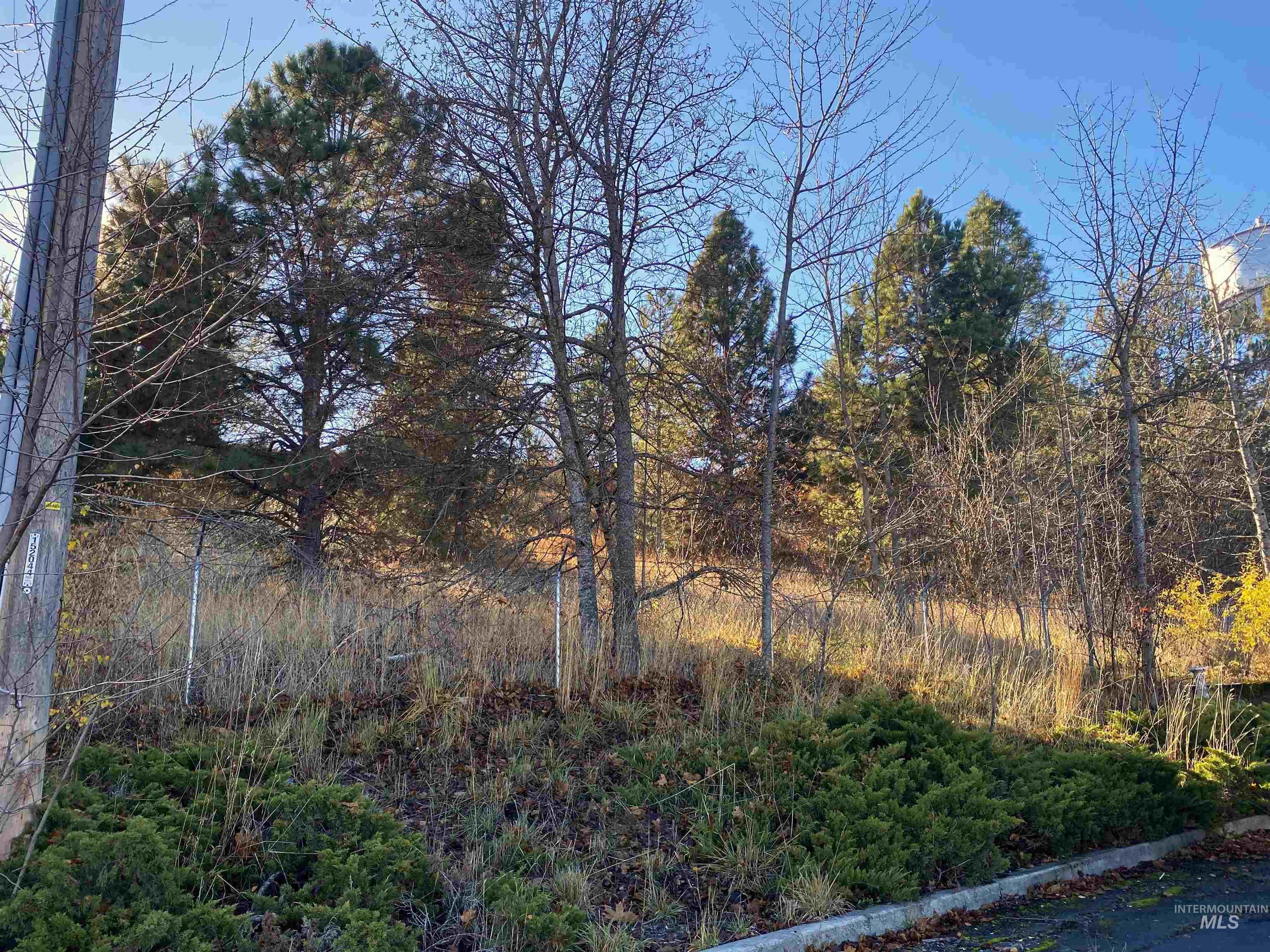 411 N Almon, Moscow, Idaho 83843, 3 Bedrooms, 2 Bathrooms, Residential For Sale, Price $105,000, 98968104