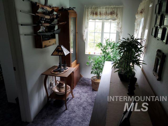 3460 American River Rd, Elk City, Idaho 83525, 3 Bedrooms, 2 Bathrooms, Residential For Sale, Price $525,000, 98968105