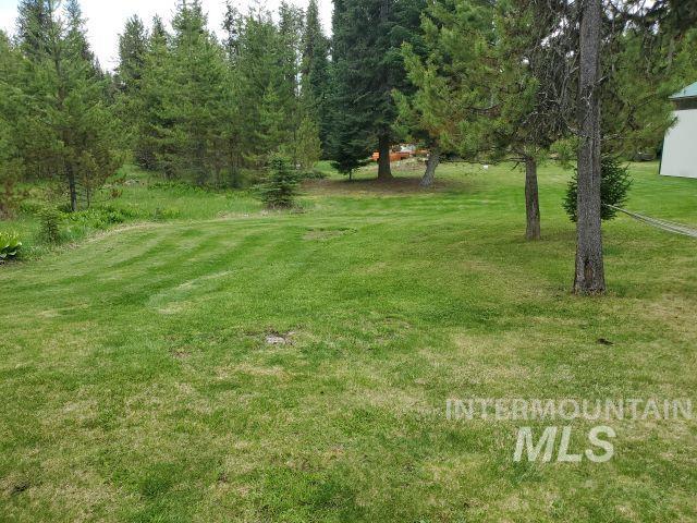 3460 American River Rd, Elk City, Idaho 83525, 3 Bedrooms, 2 Bathrooms, Residential For Sale, Price $525,000, 98968105