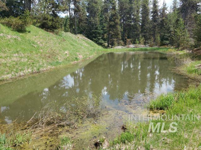 3460 American River Rd, Elk City, Idaho 83525, 3 Bedrooms, 2 Bathrooms, Residential For Sale, Price $525,000, 98968105