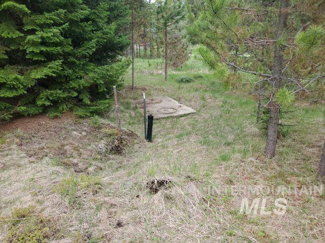 3460 American River Rd, Elk City, Idaho 83525, 3 Bedrooms, 2 Bathrooms, Residential For Sale, Price $525,000, 98968105