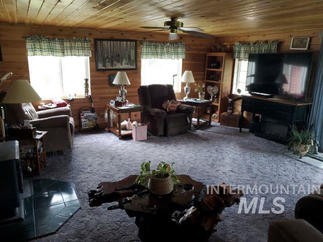 3460 American River Rd, Elk City, Idaho 83525, 3 Bedrooms, 2 Bathrooms, Residential For Sale, Price $525,000, 98968105