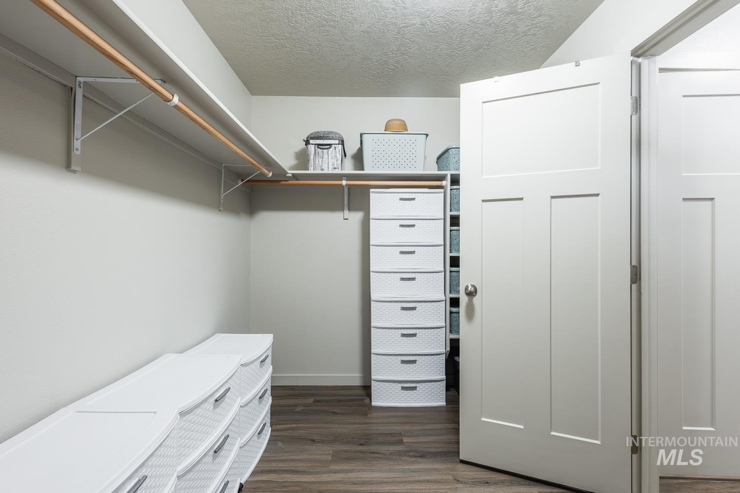 Spacious closet featuring dark wood-style floors
