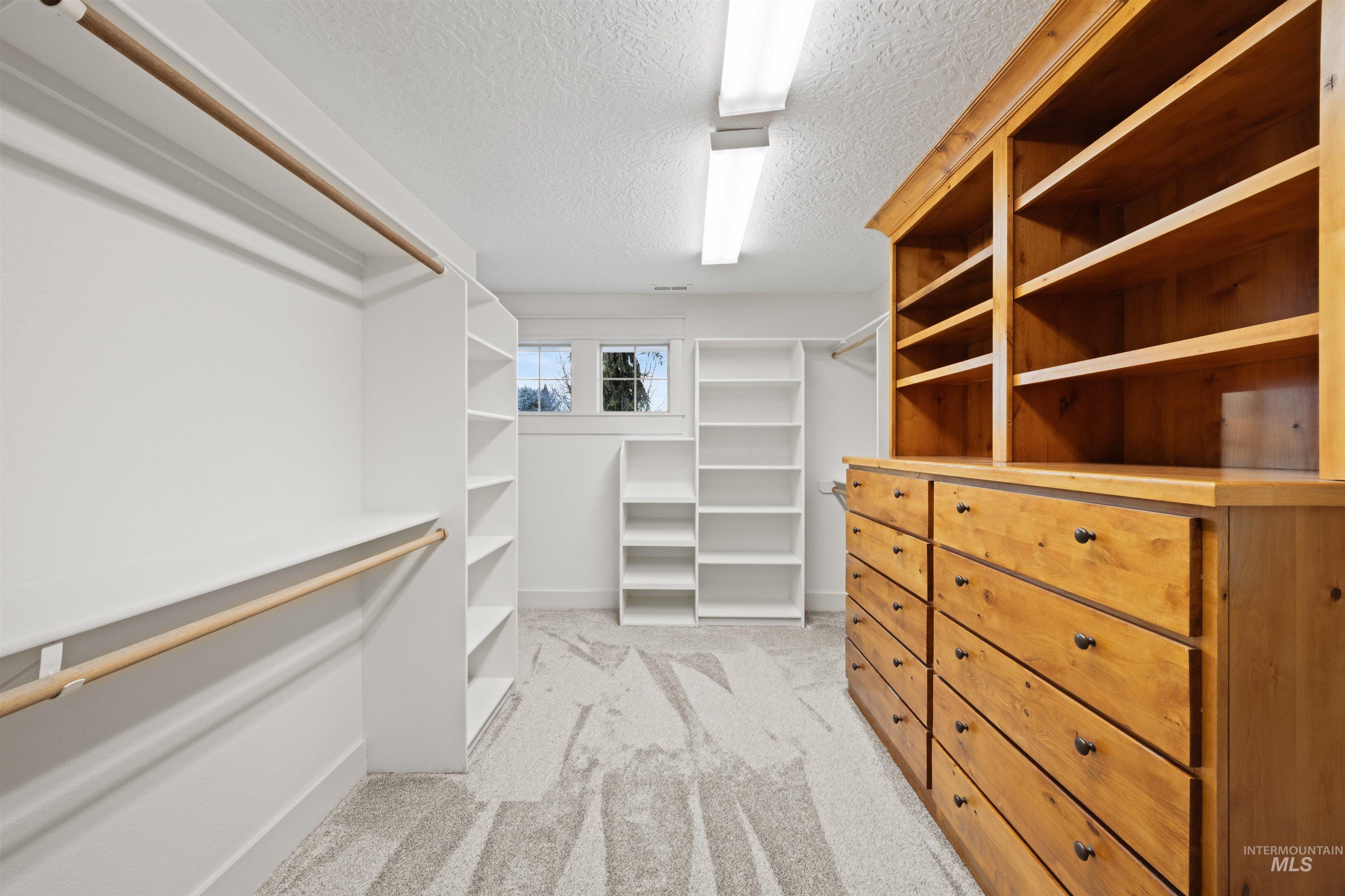 Walk in closet with light colored carpet