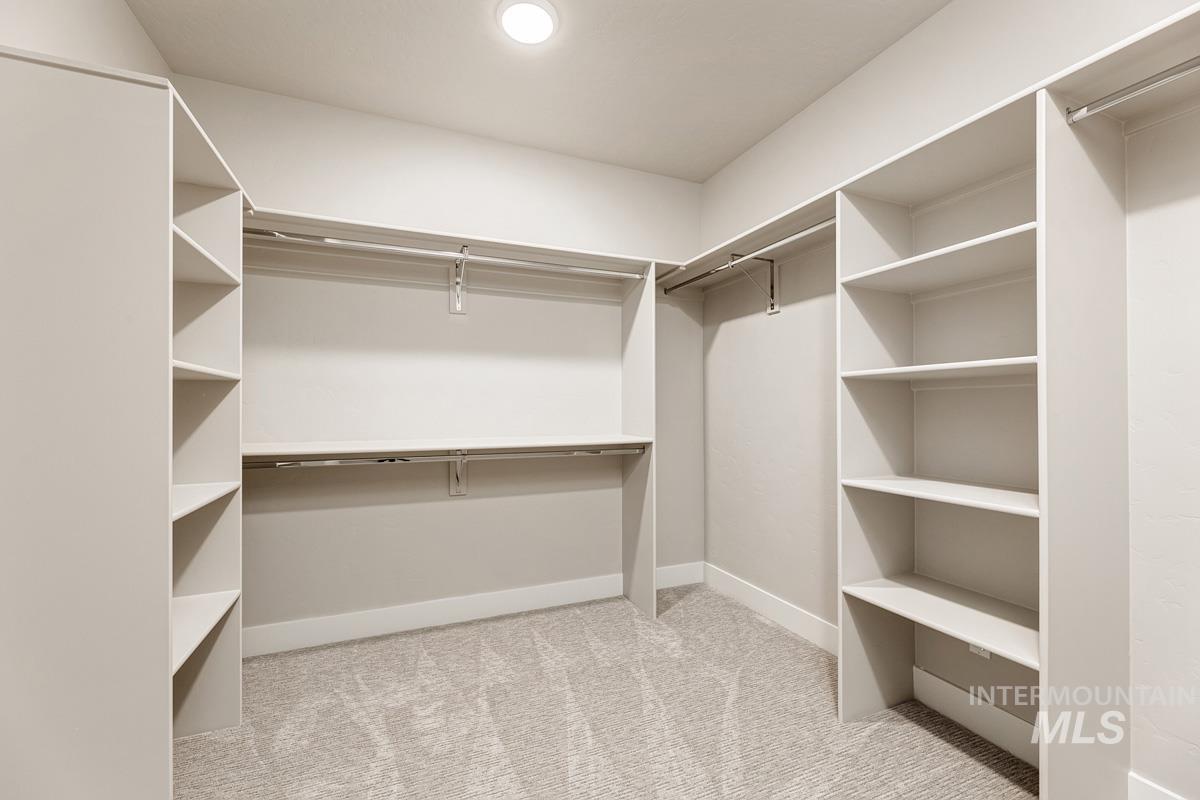 Spacious closet featuring light carpet