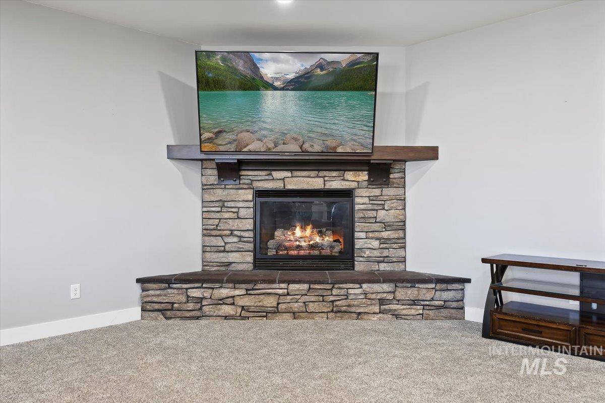 Detailed view of carpet floors and a fireplace
