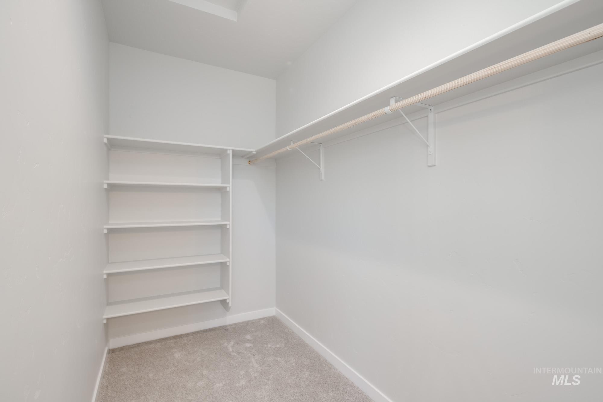 Spacious closet featuring light colored carpet