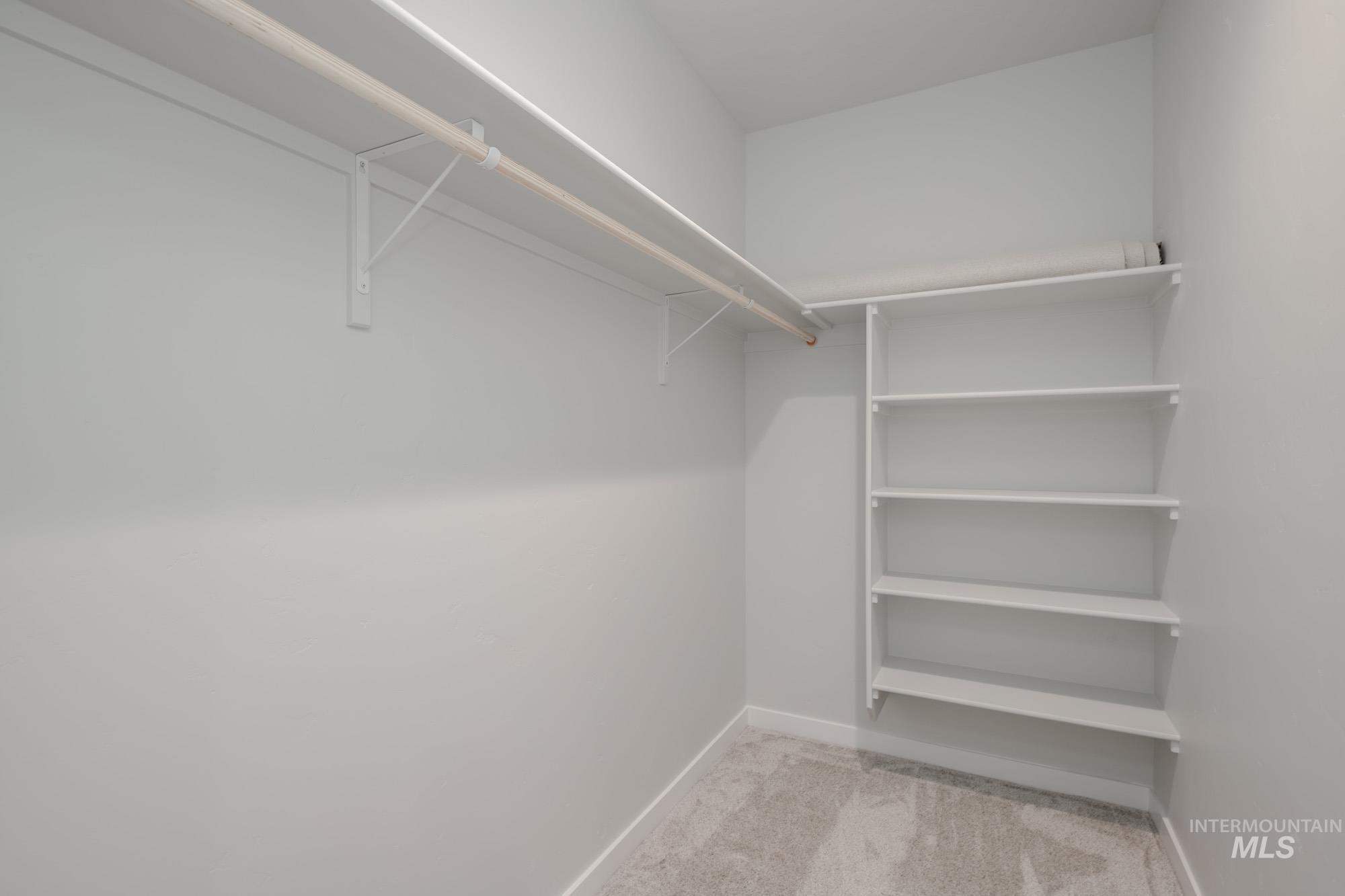 Walk in closet featuring light colored carpet