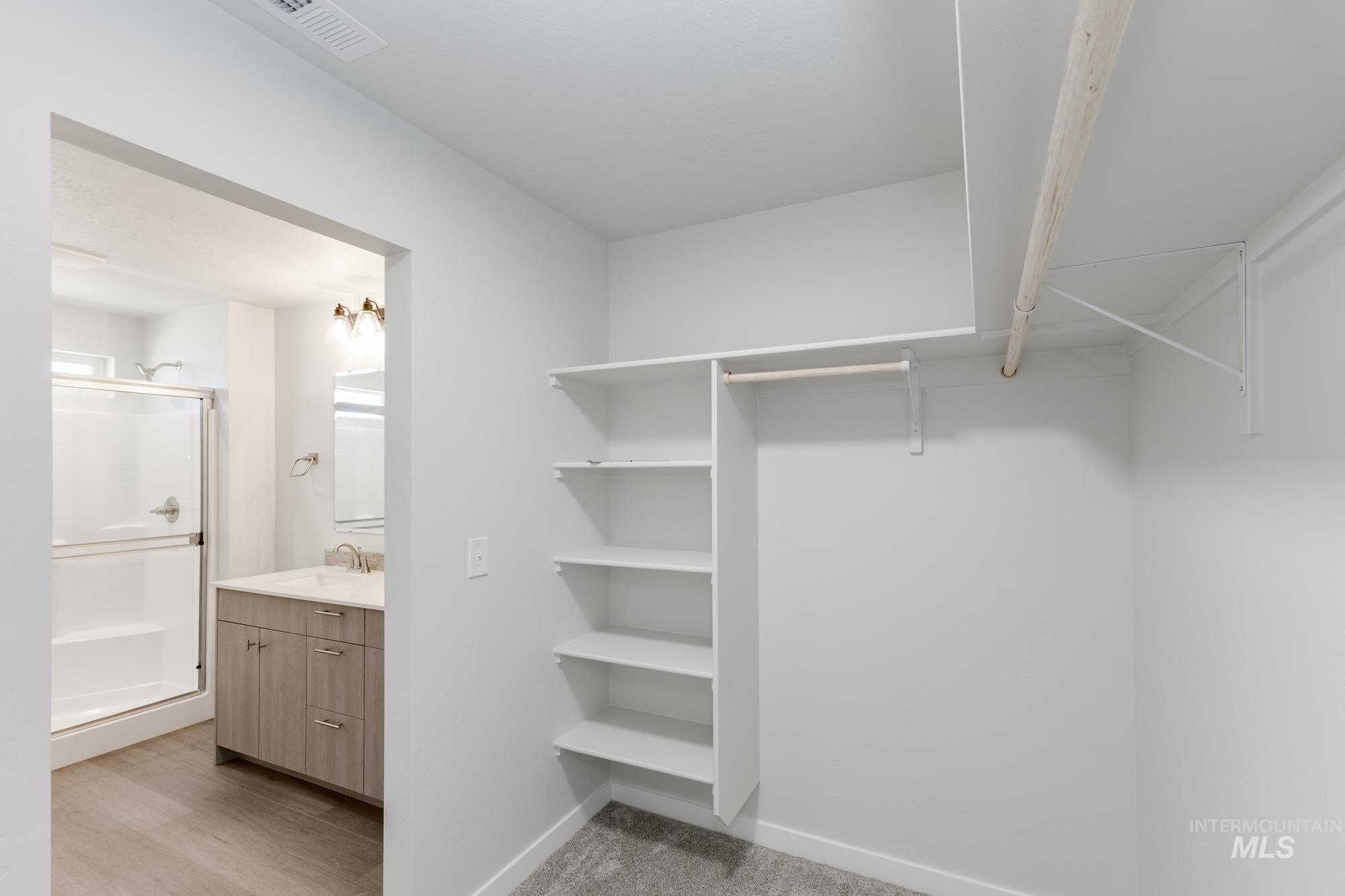 Spacious closet featuring light wood-type flooring and a sink