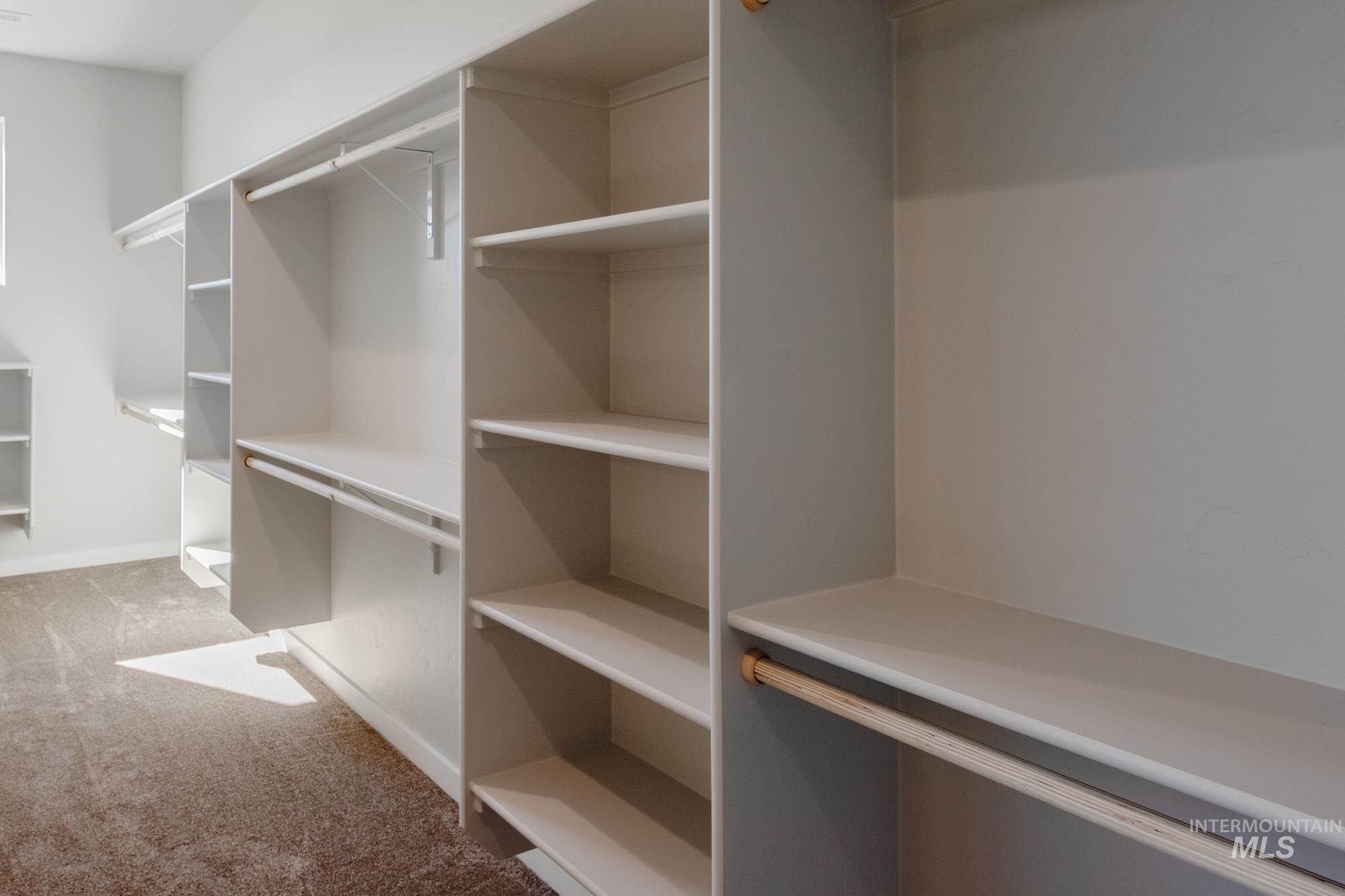 Spacious closet with carpet flooring