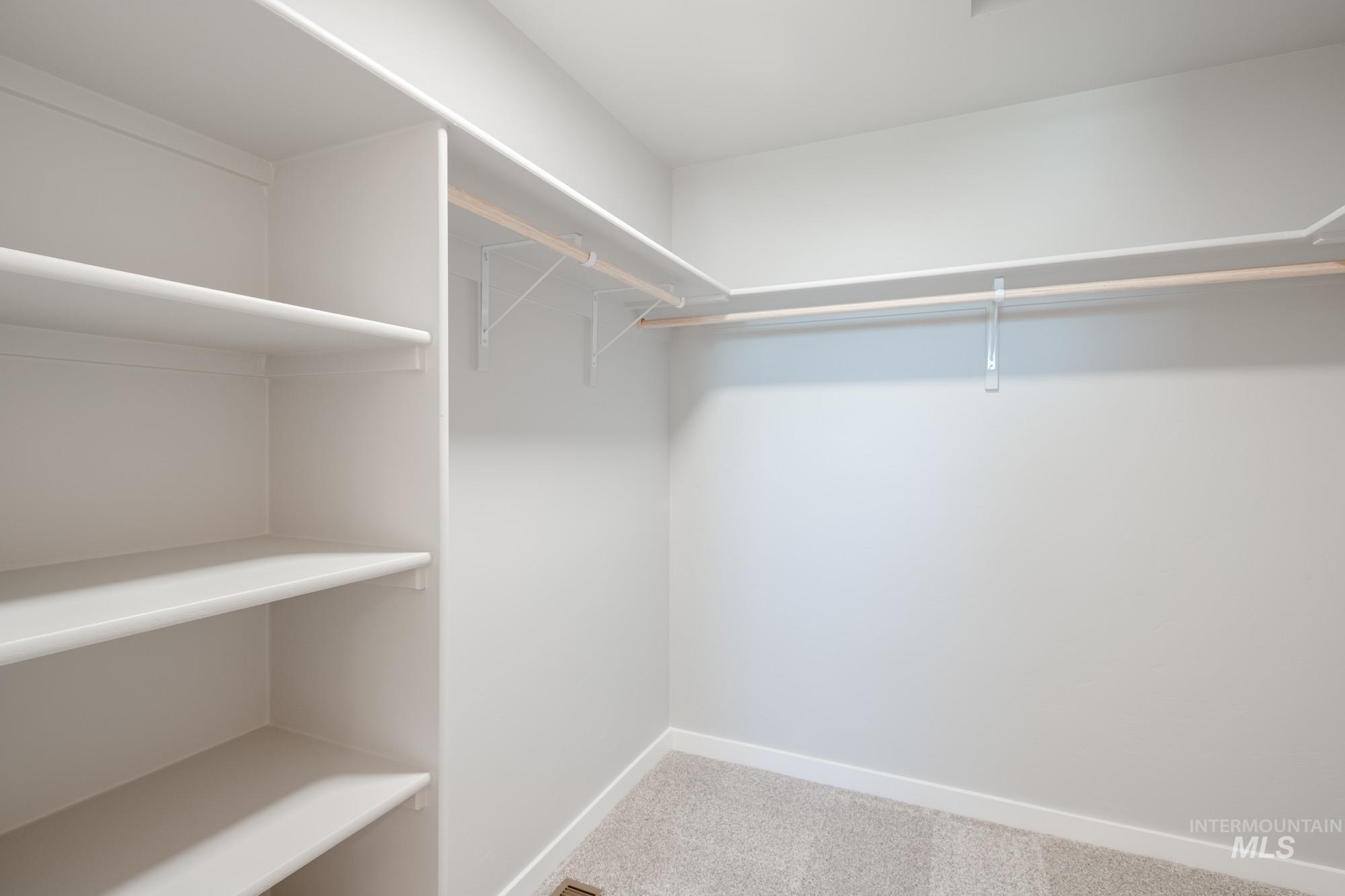 Spacious closet featuring light carpet
