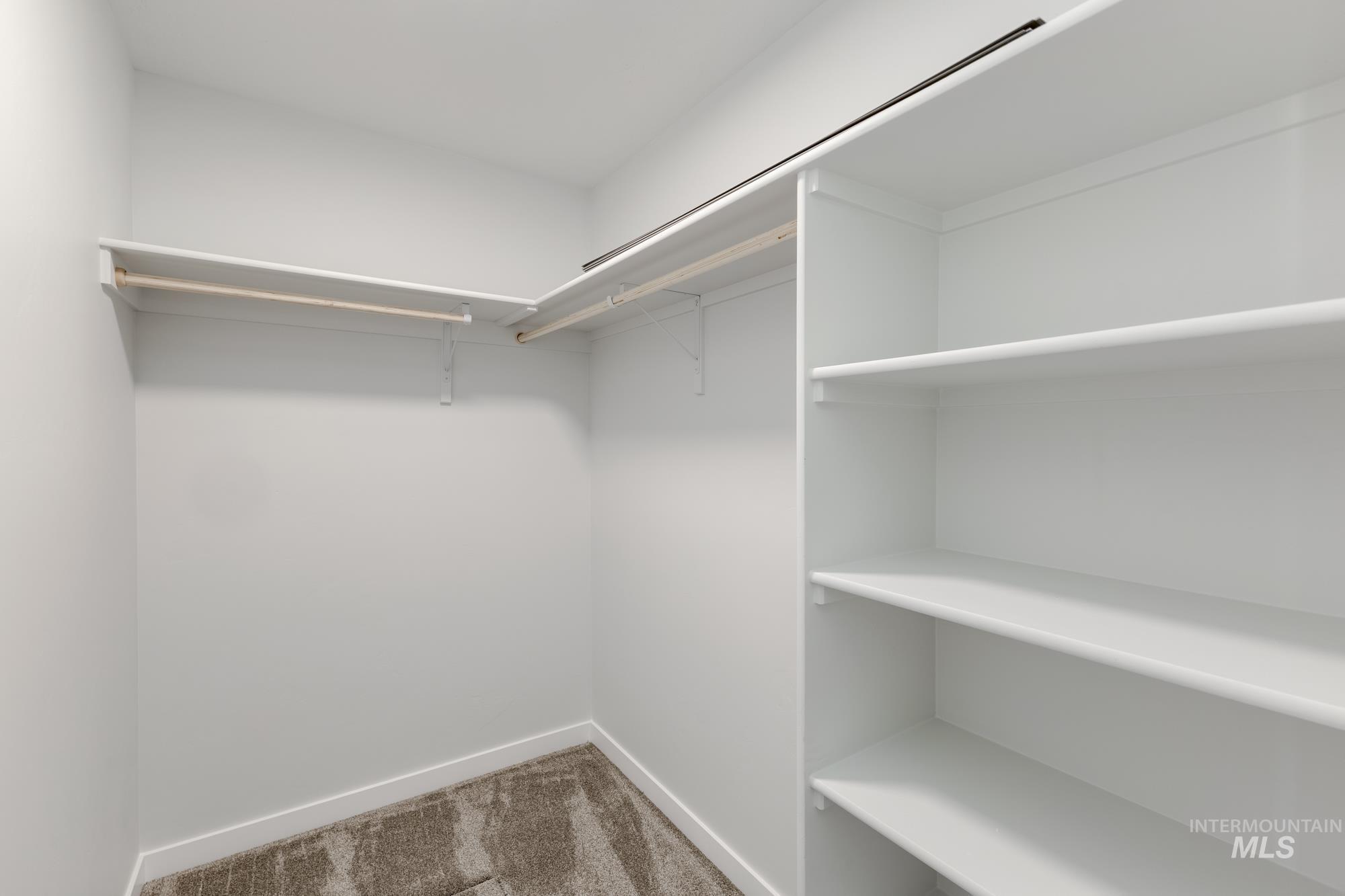 Spacious closet featuring carpet floors