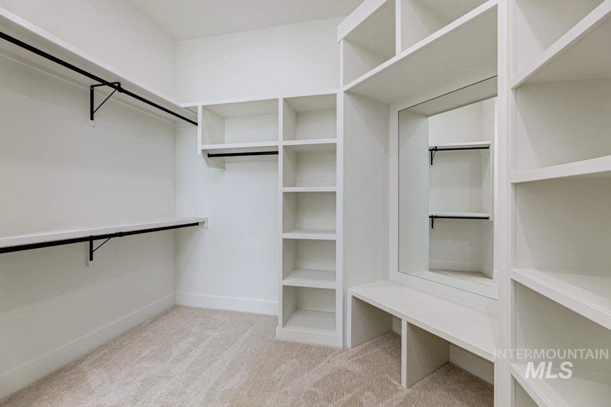 Spacious closet featuring light carpet