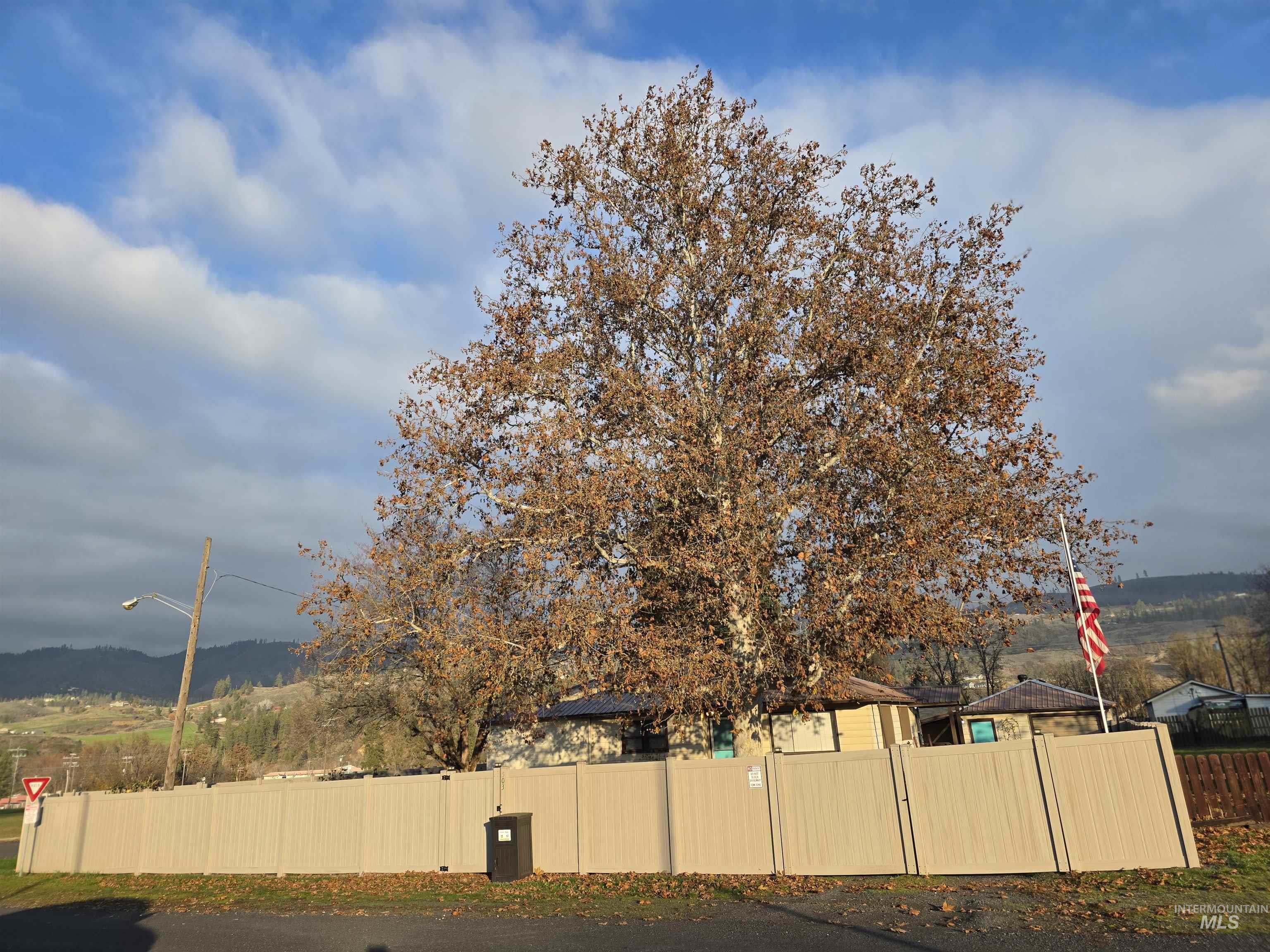 View of yard featuring a mountain view