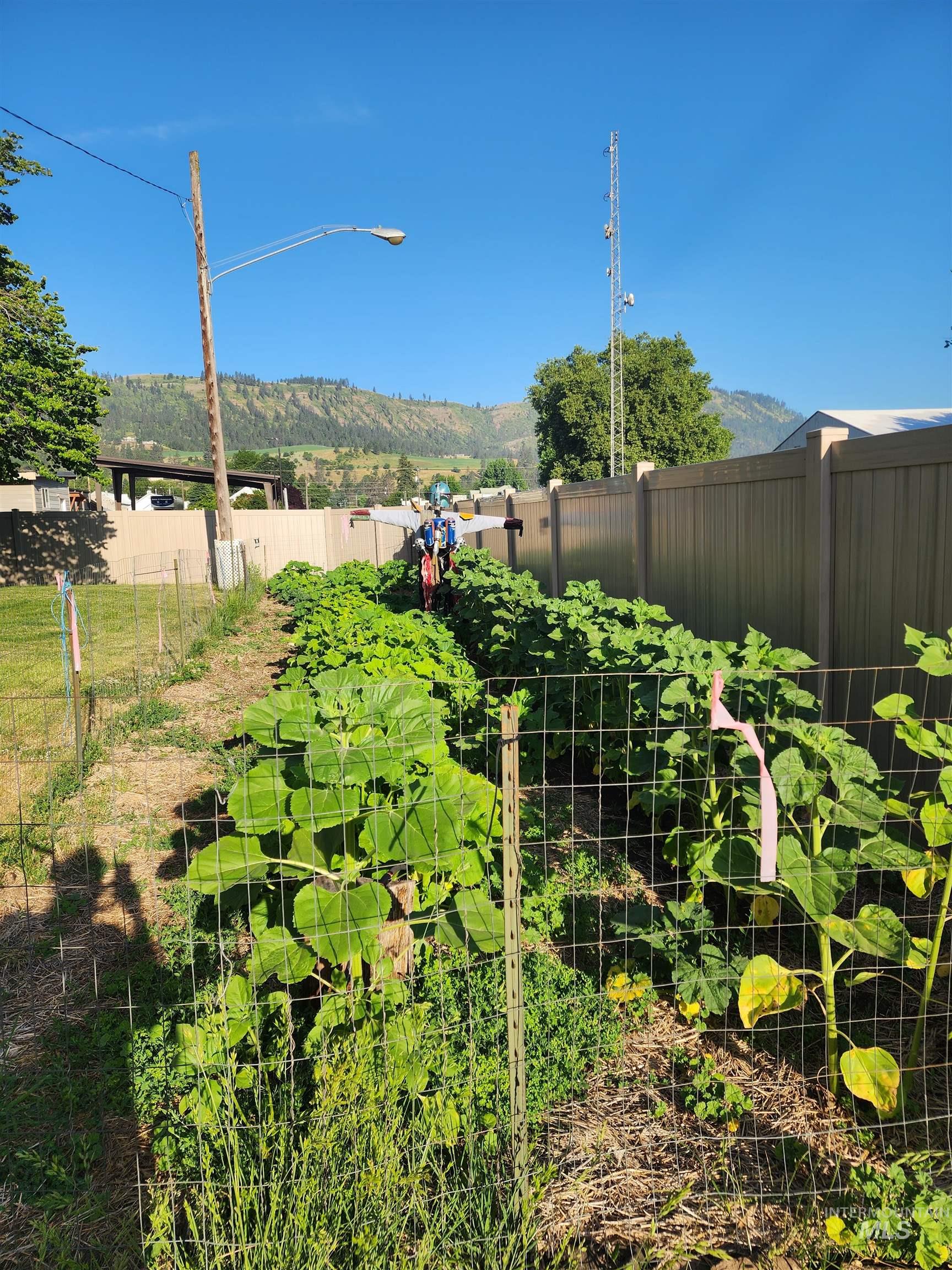 Fenced backyard featuring a vegetable garden and a mountain view