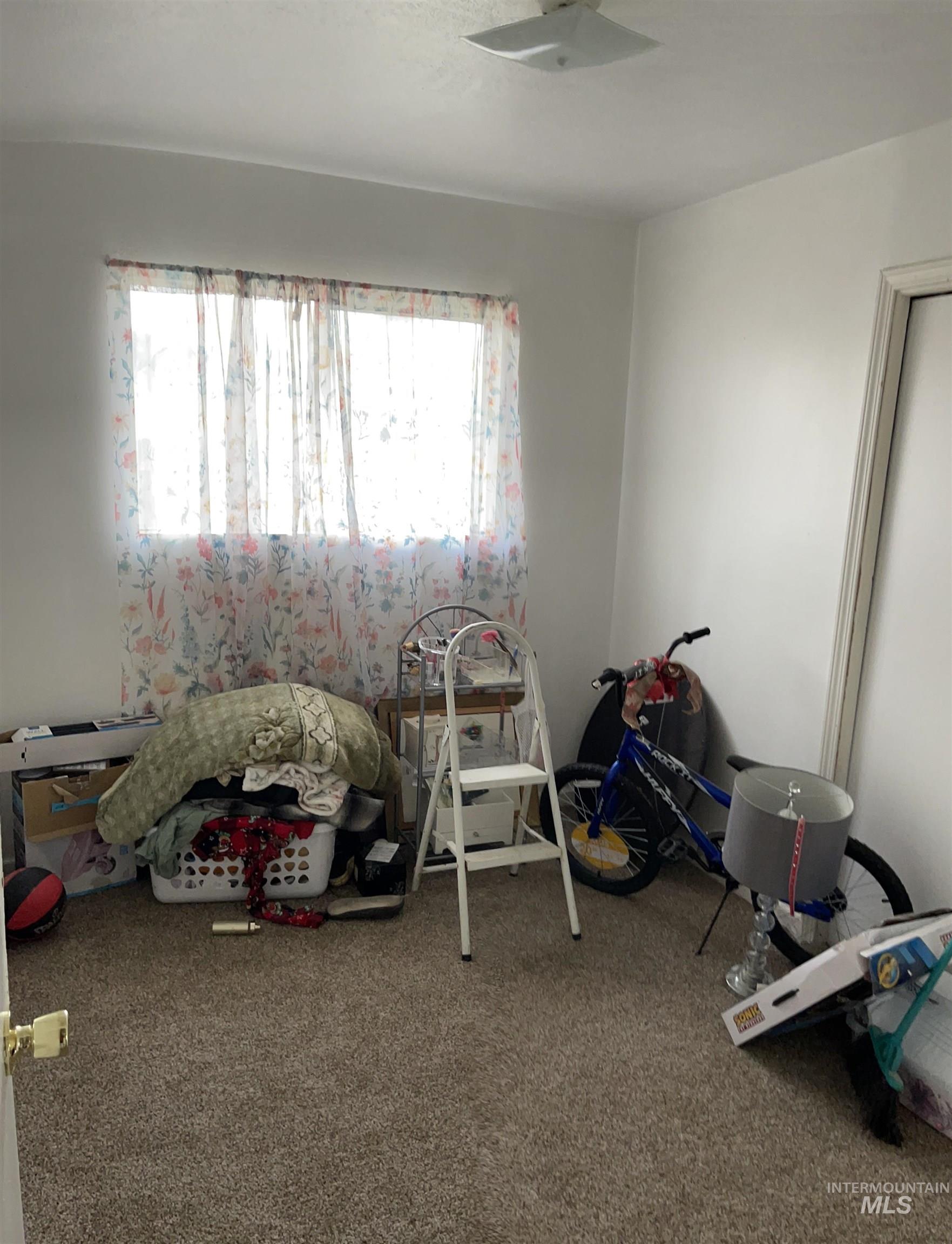 Rec room with carpet flooring and plenty of natural light