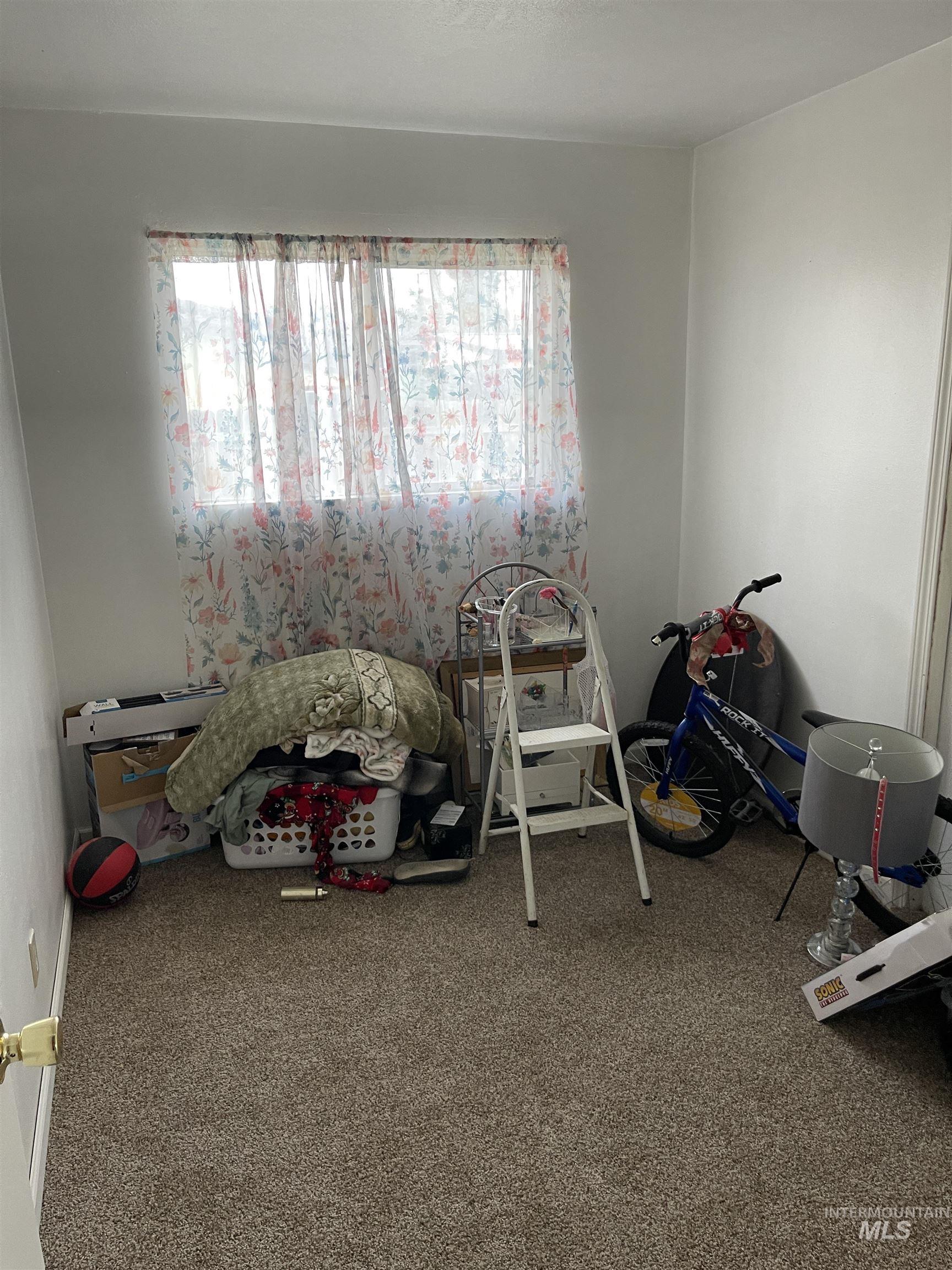 Rec room with healthy amount of natural light and carpet flooring