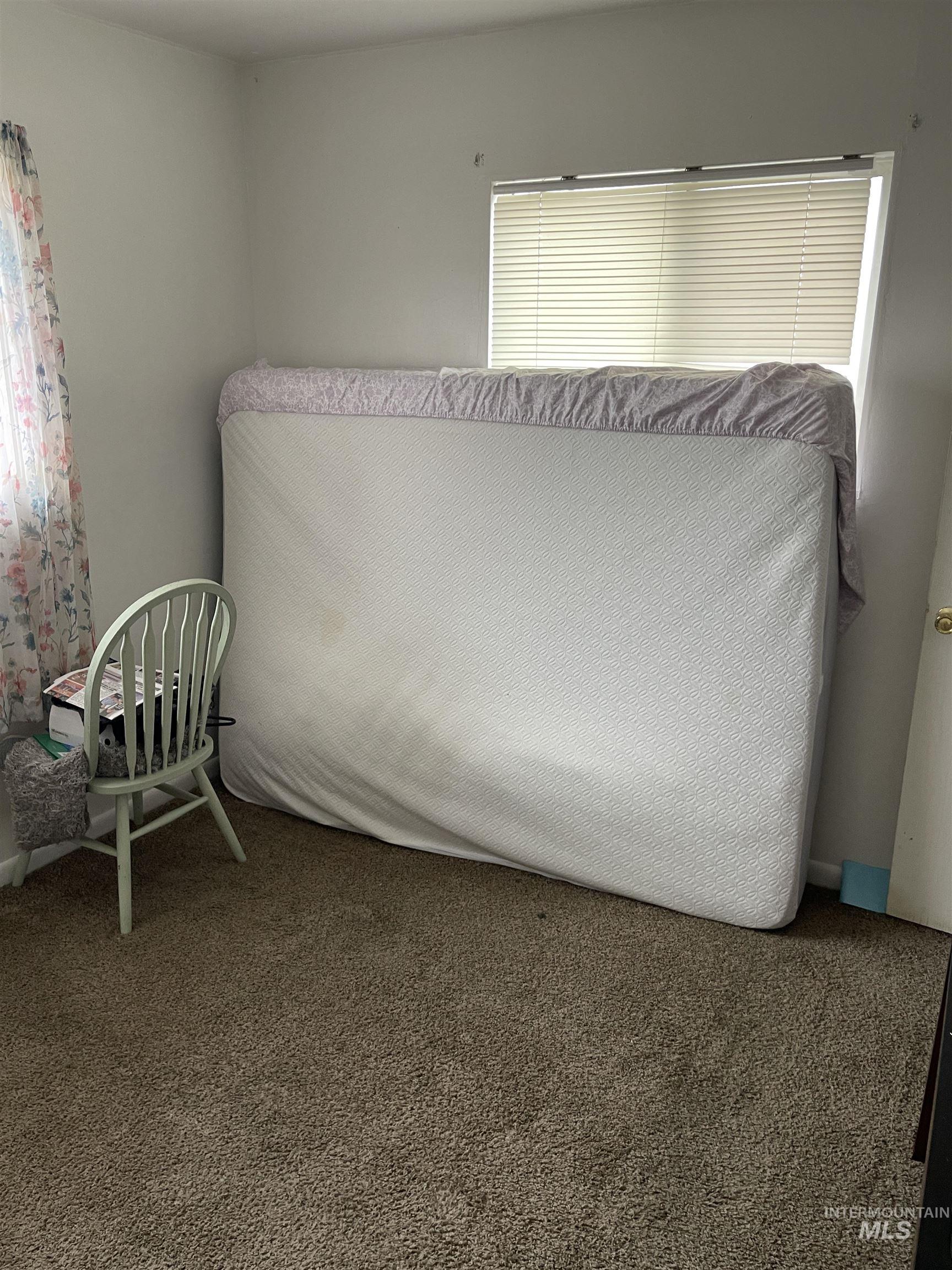 Carpeted bedroom with multiple windows