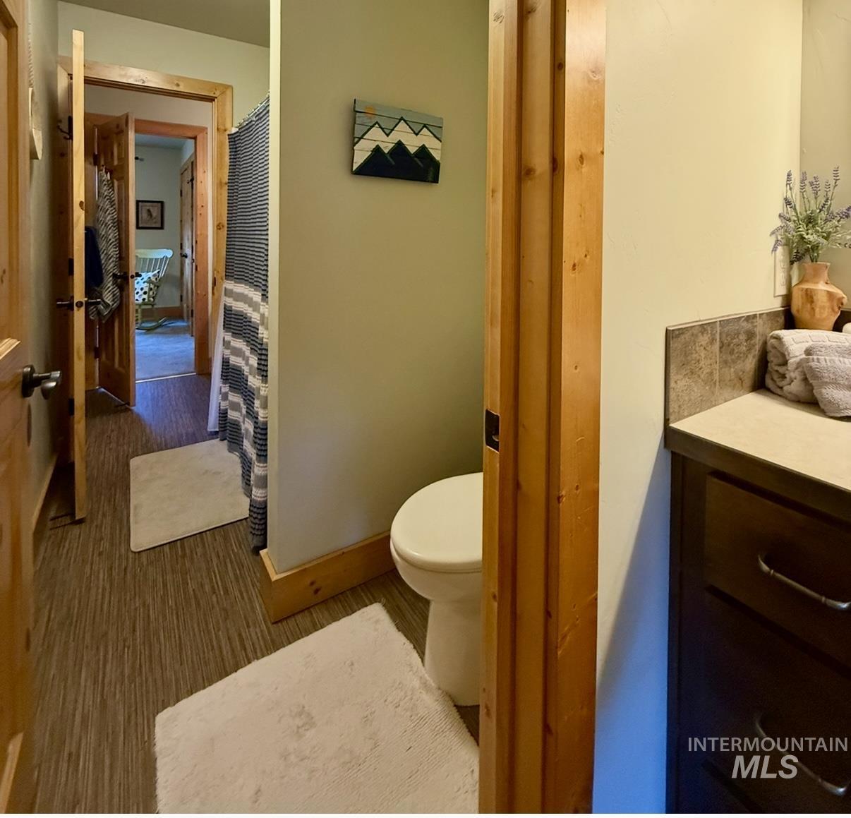 Bathroom with curtained shower and dark wood-style floors