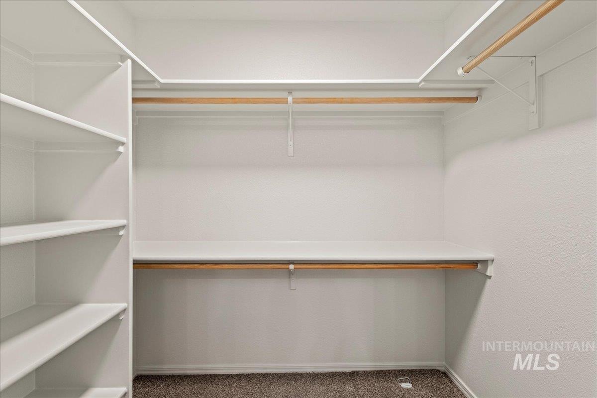 Walk in closet with carpet floors