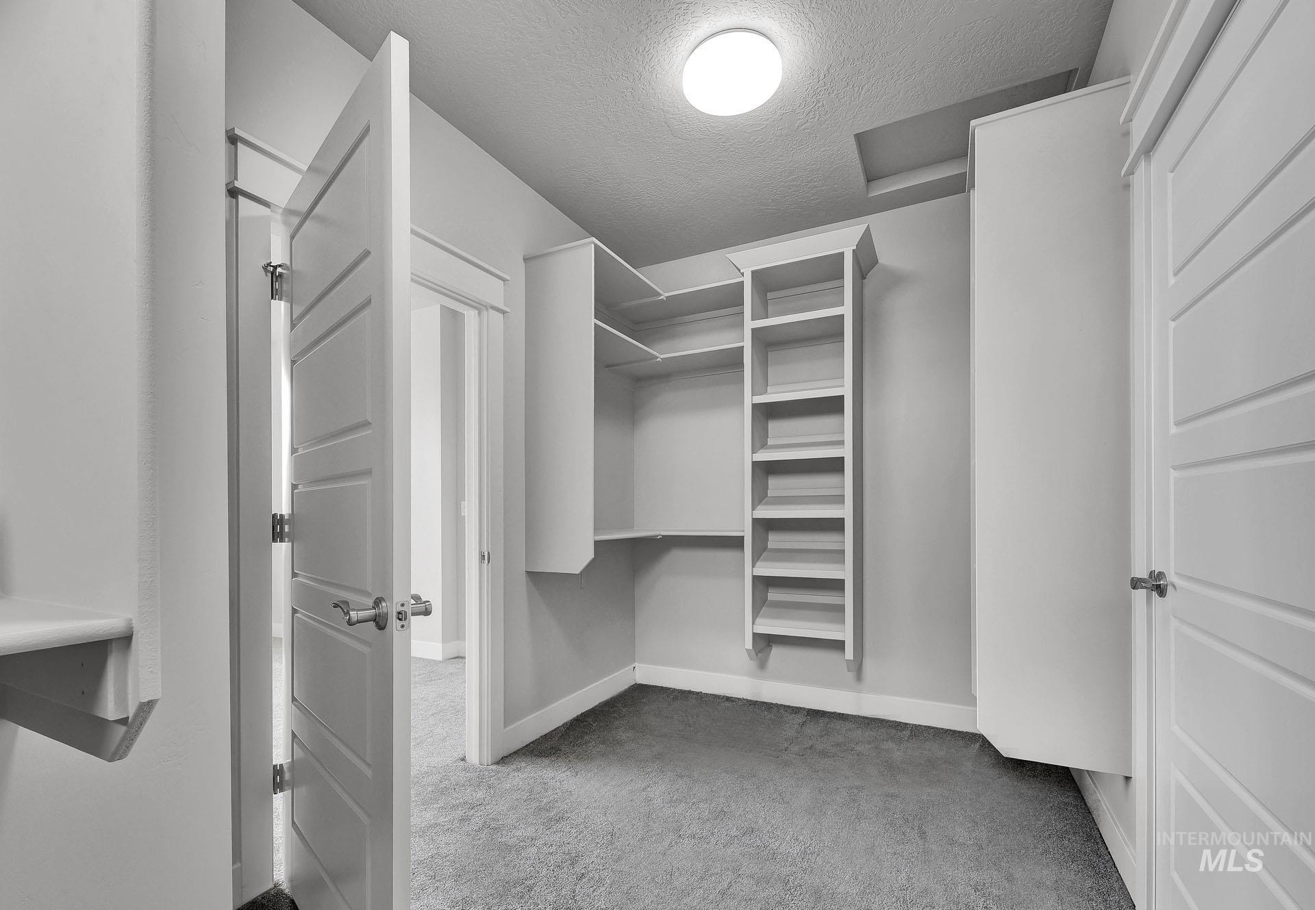Spacious closet with light carpet and attic access
