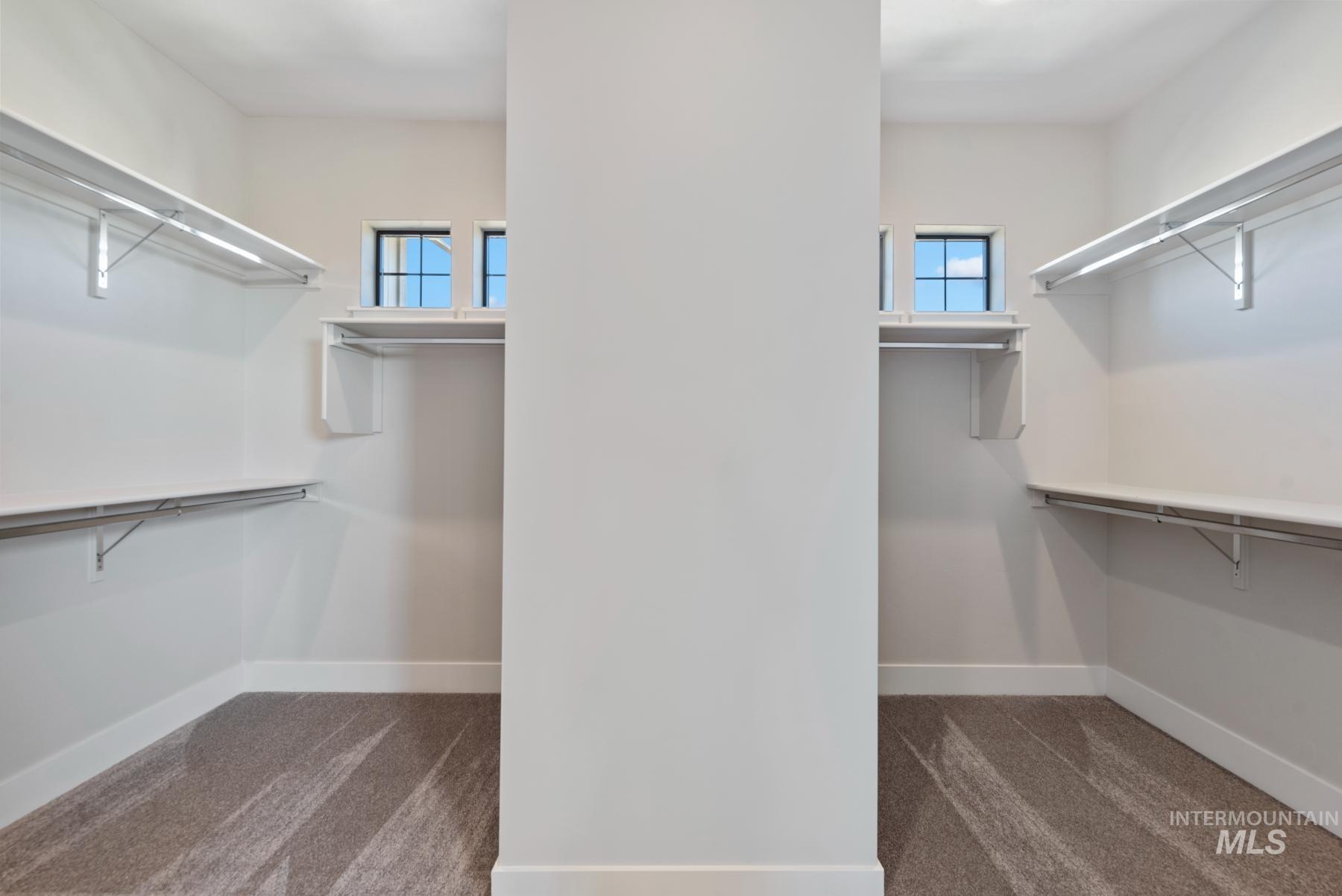 Spacious closet with dark carpet