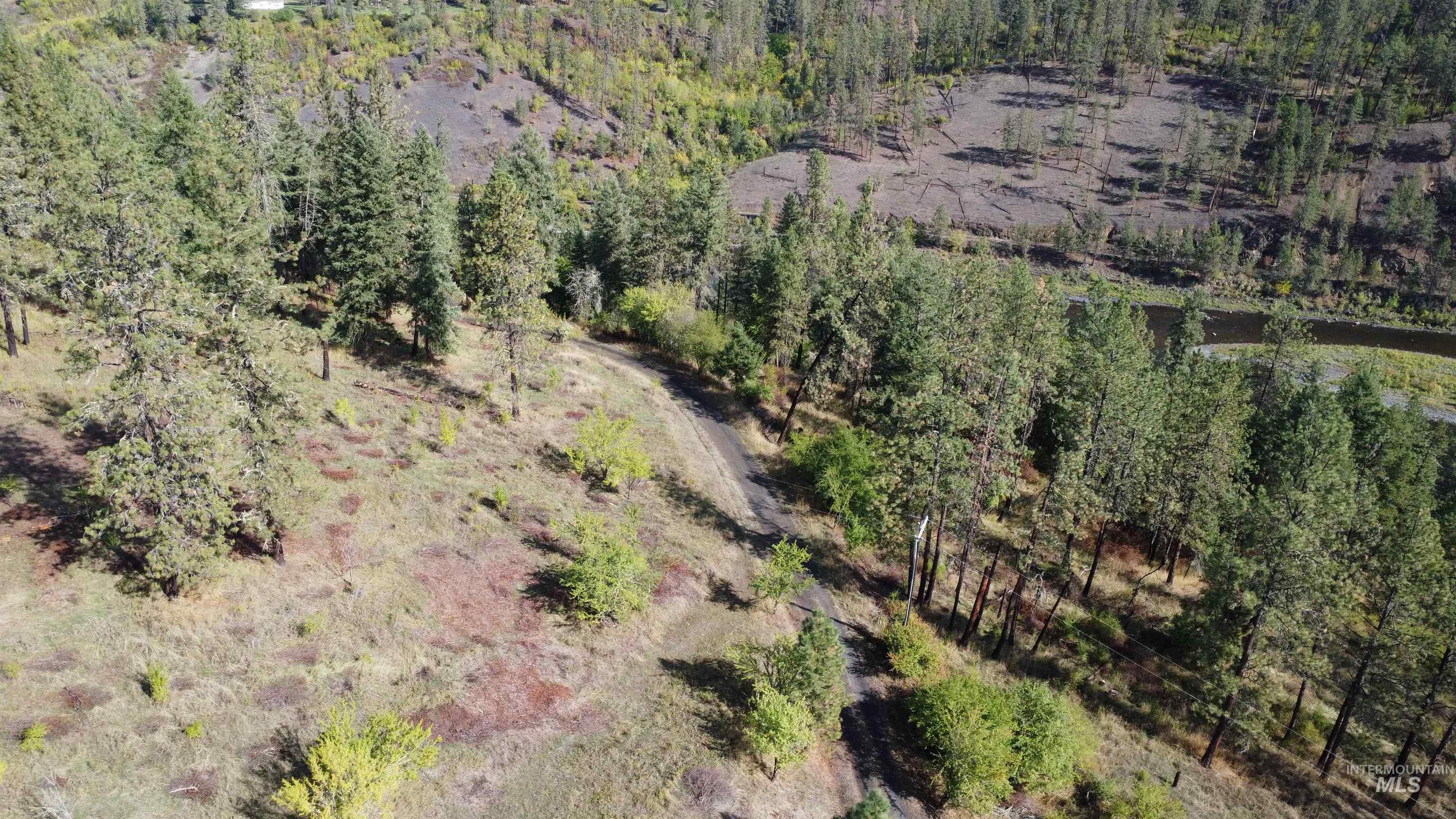 View of property location with a heavily wooded area