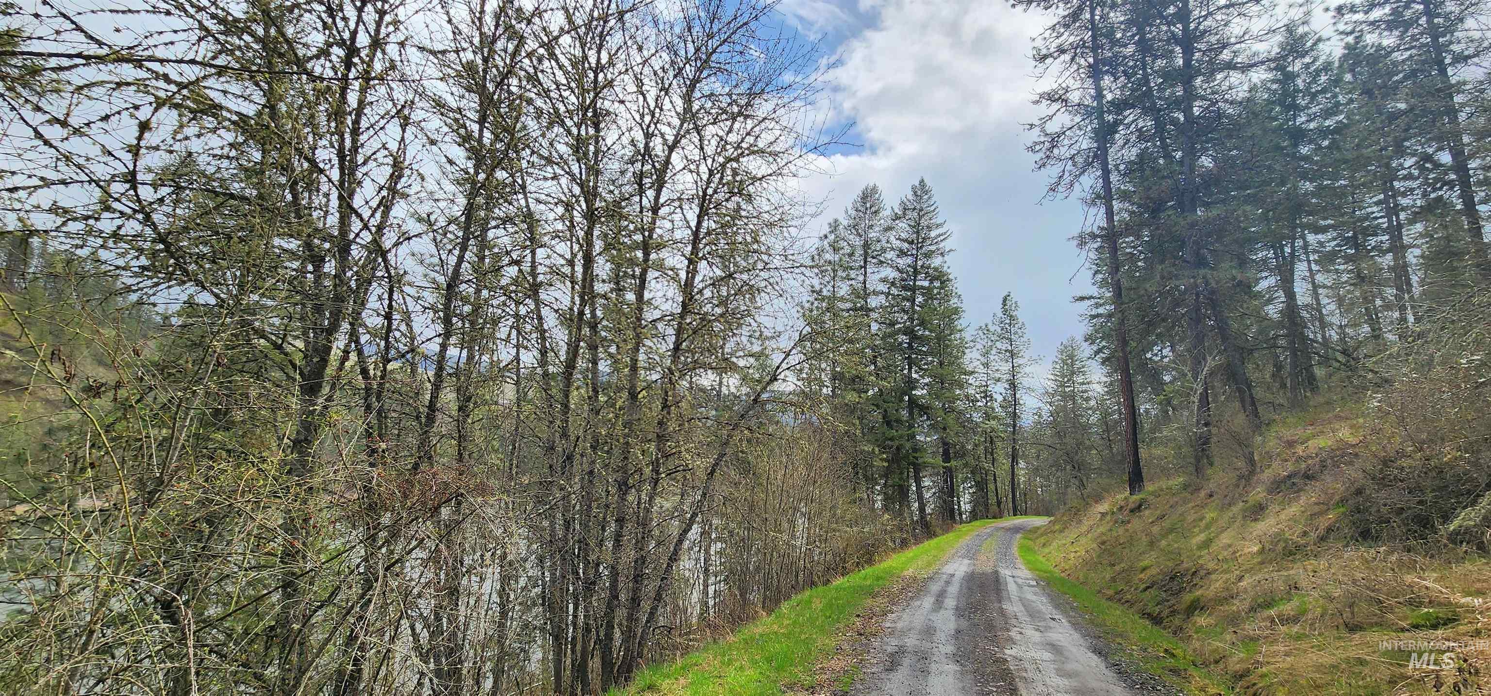 View of road with a forest view