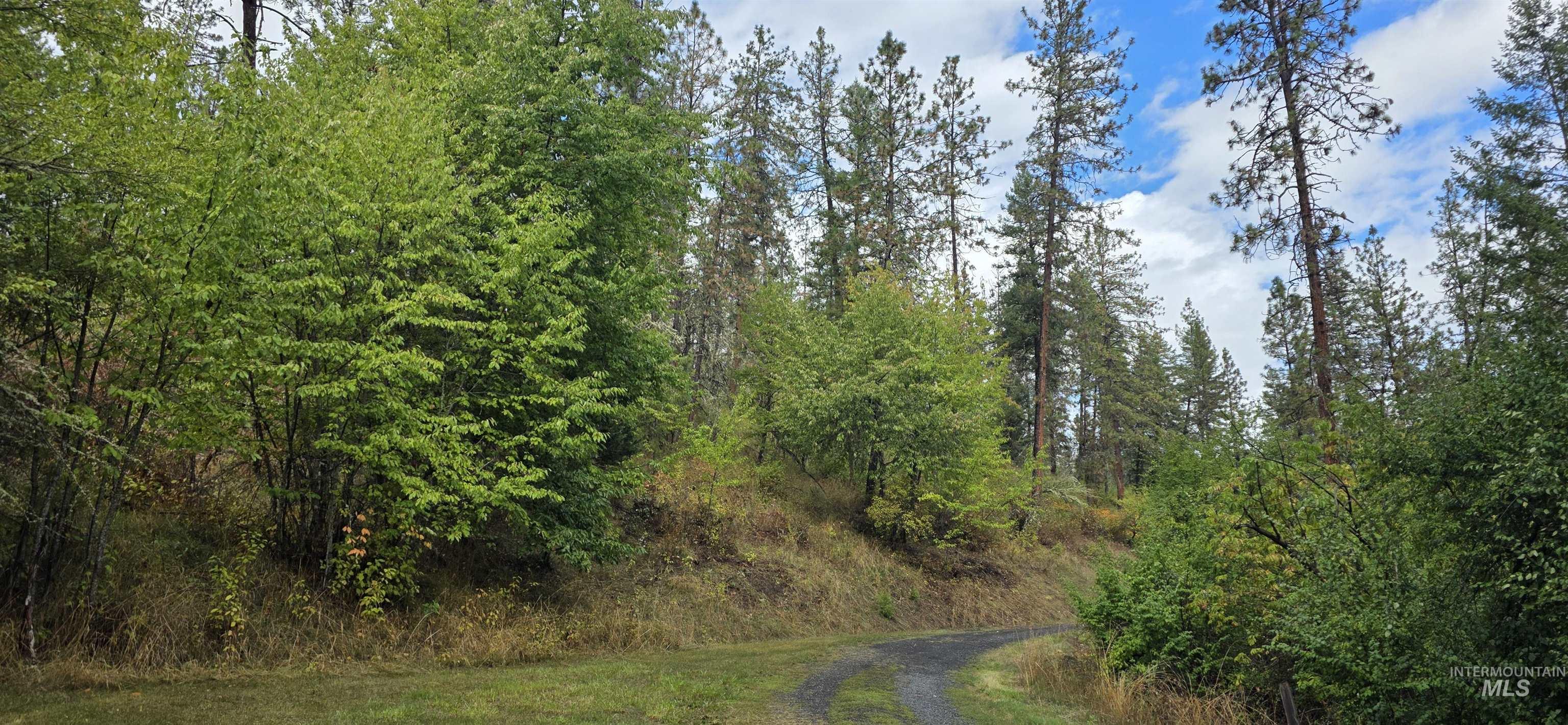 View of dirt / gravel road featuring a wooded view