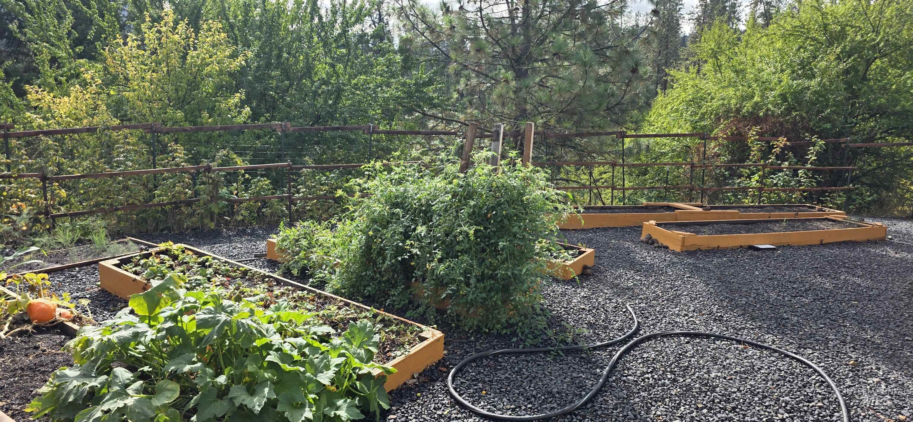 View of yard with a garden