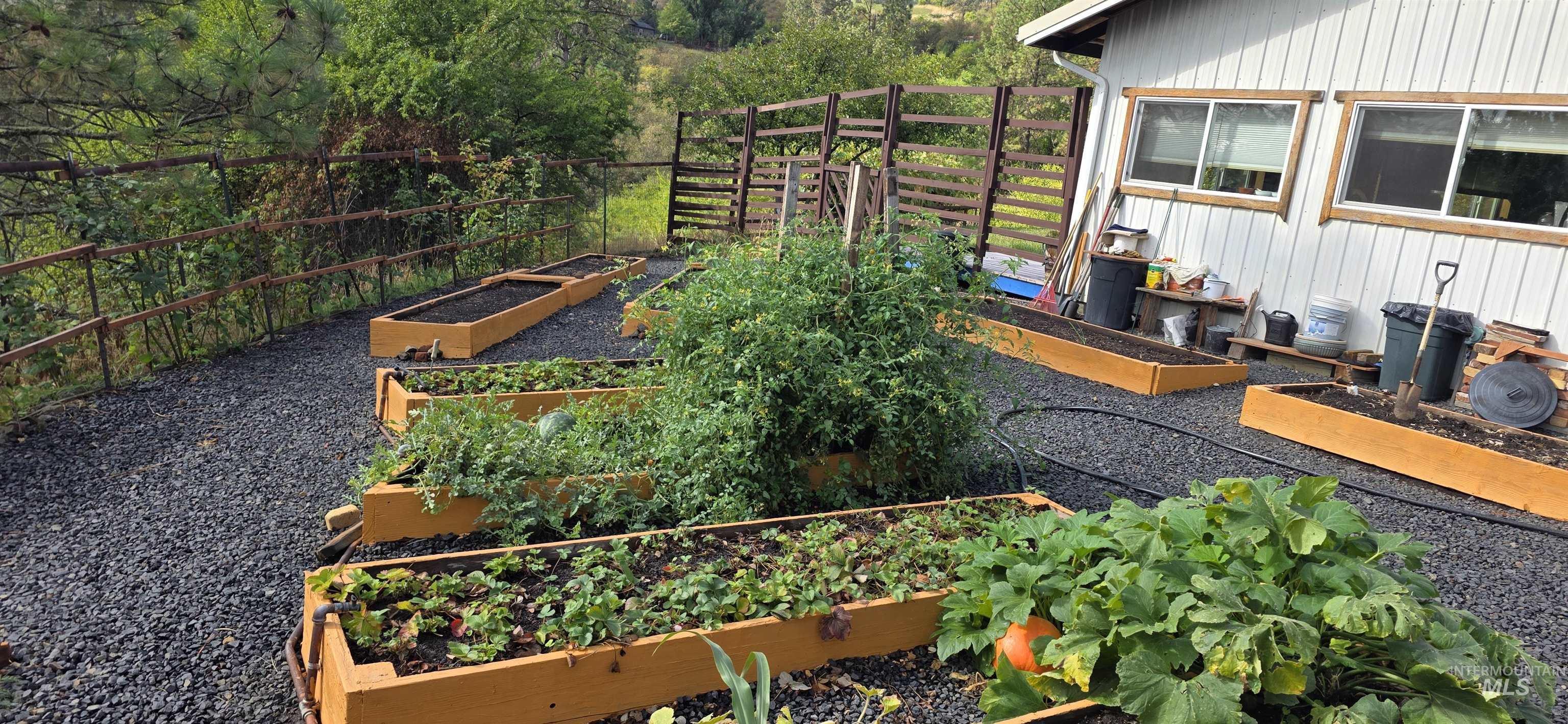 View of yard with a garden