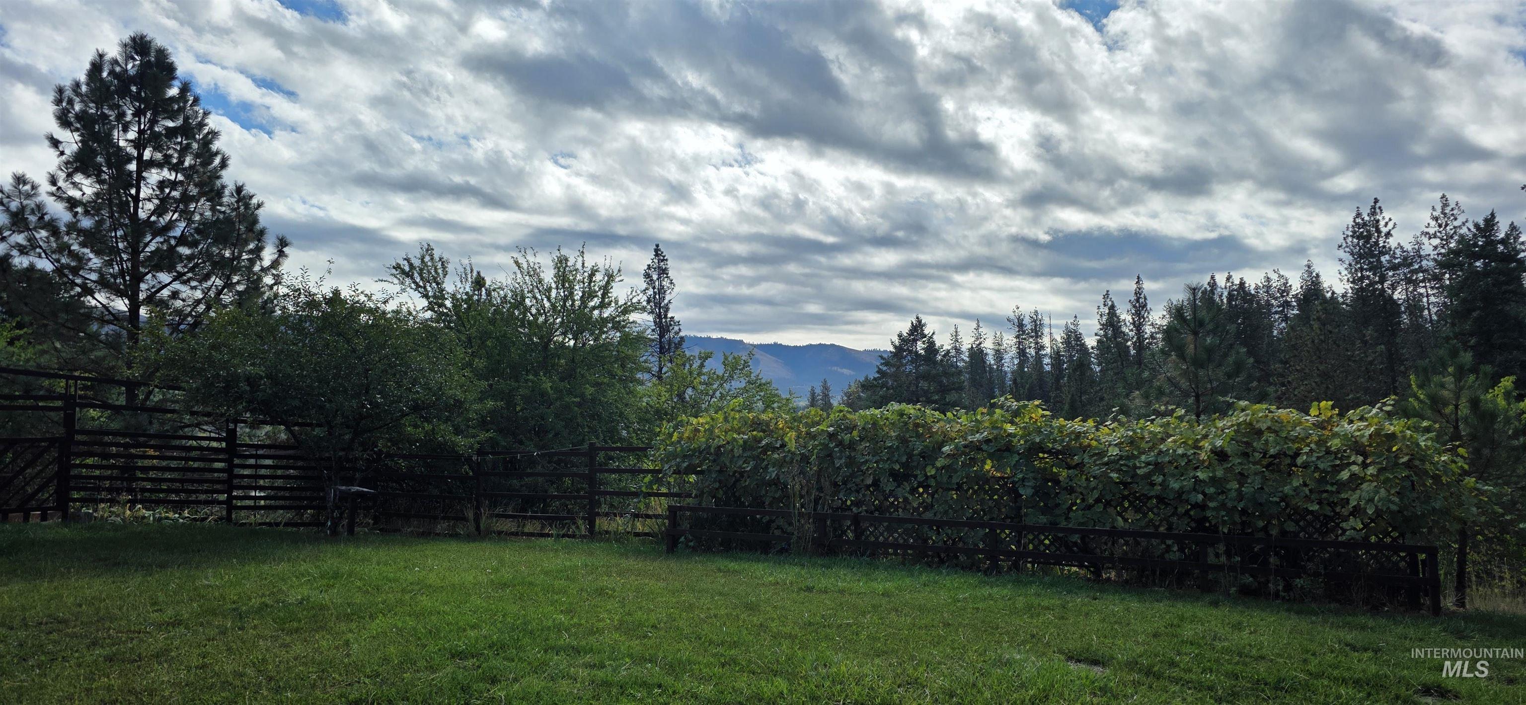 View of yard featuring a mountain view