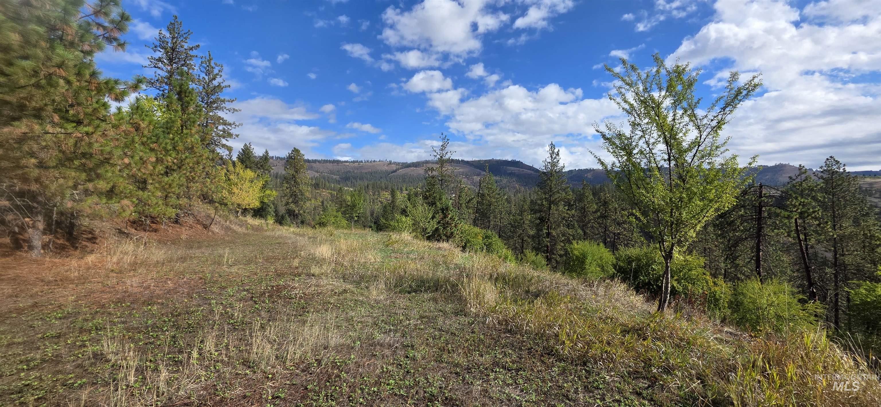 View of mountain background featuring a forest