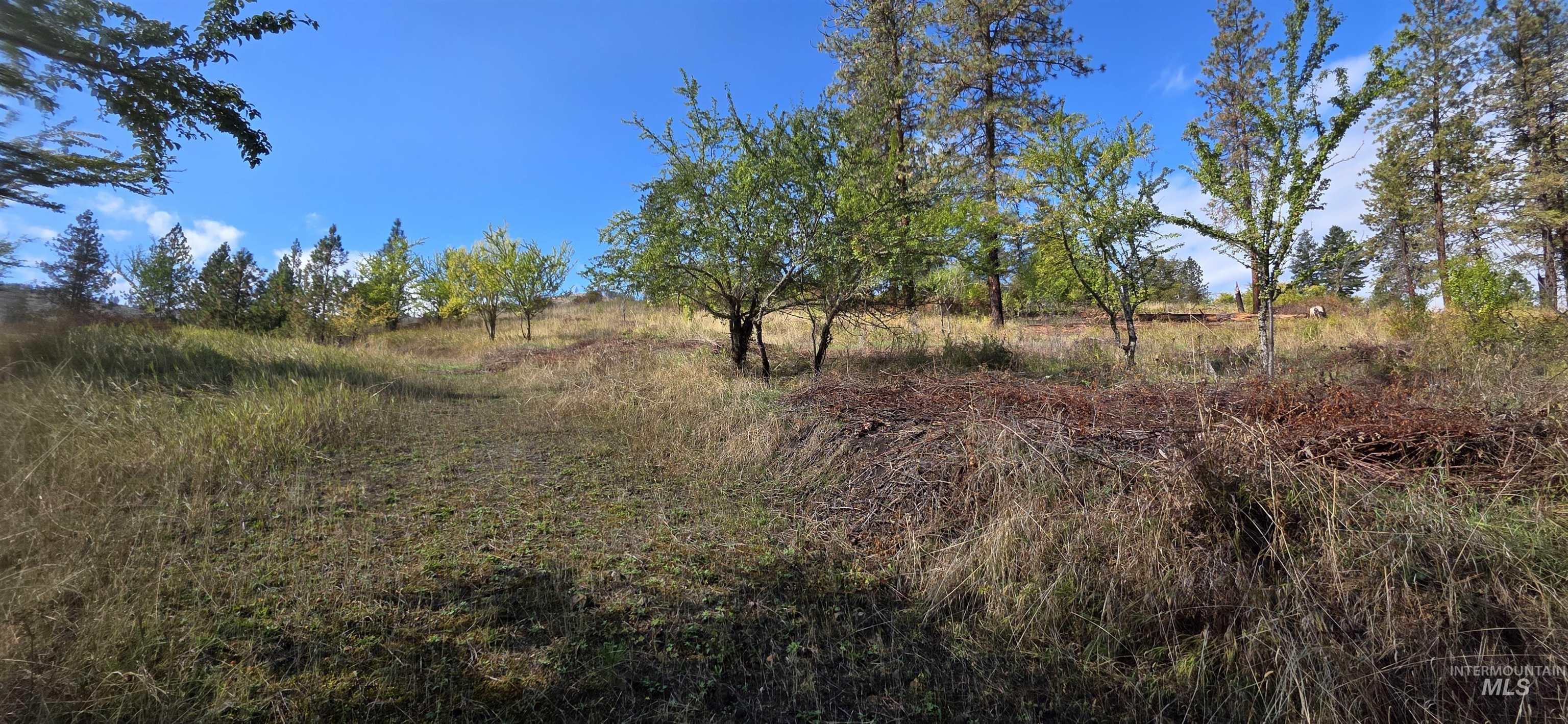 View of nature featuring rural landscape
